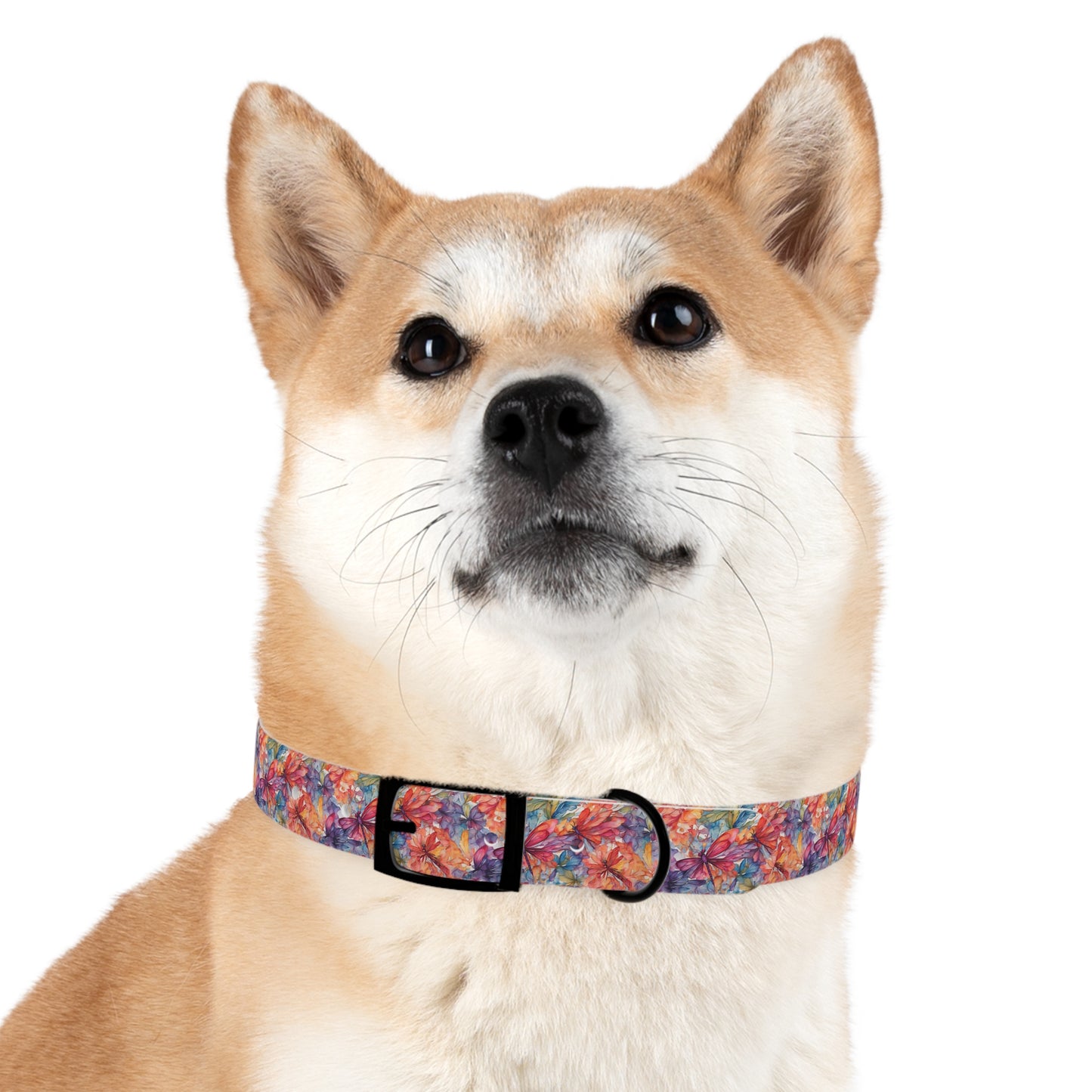Colorful Dragonfly Watercolor Pattern Dog Collar