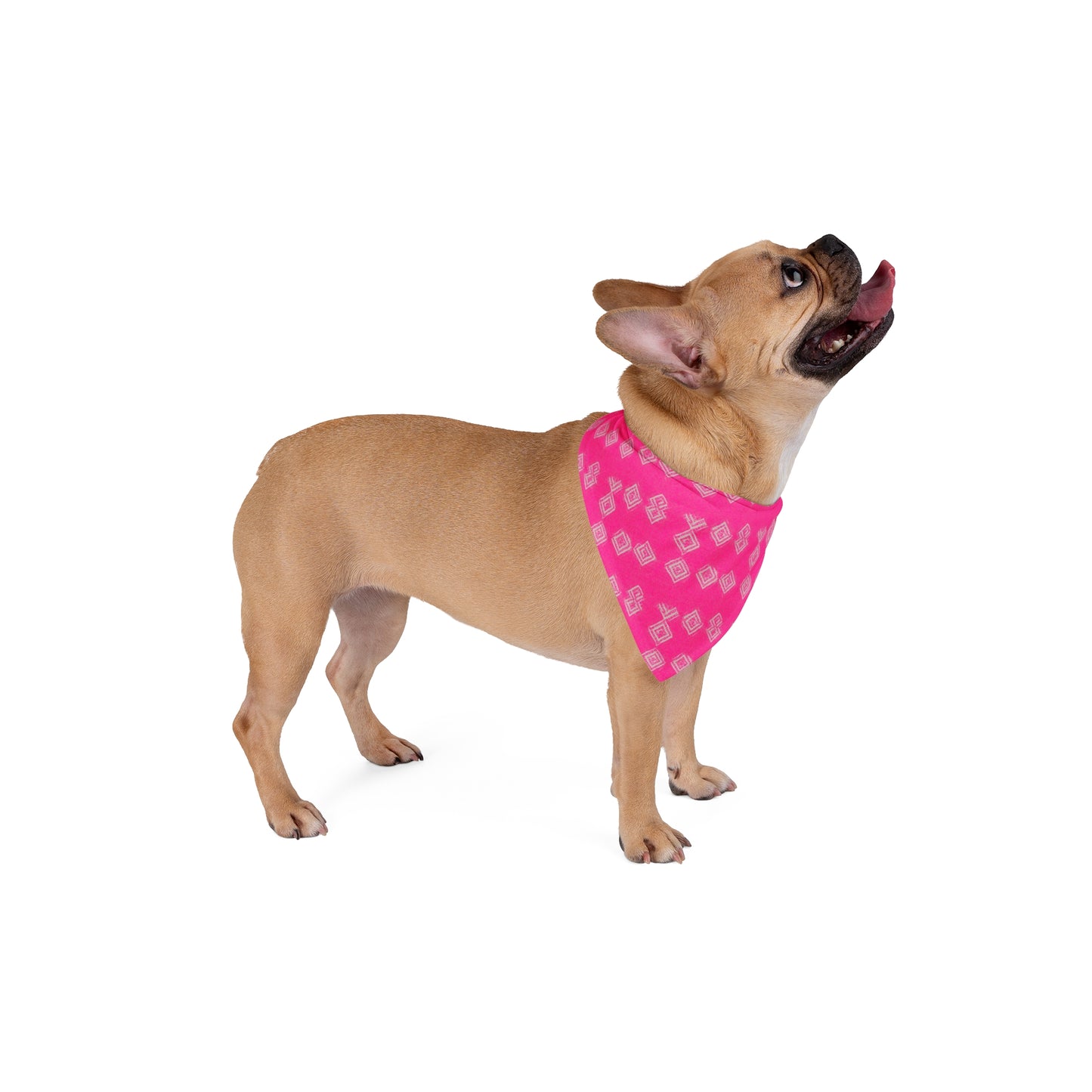 Brilliant Bliss Pet Bandana