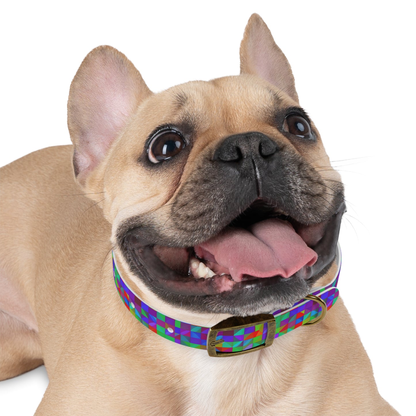 Prism Patterns Dog Collar