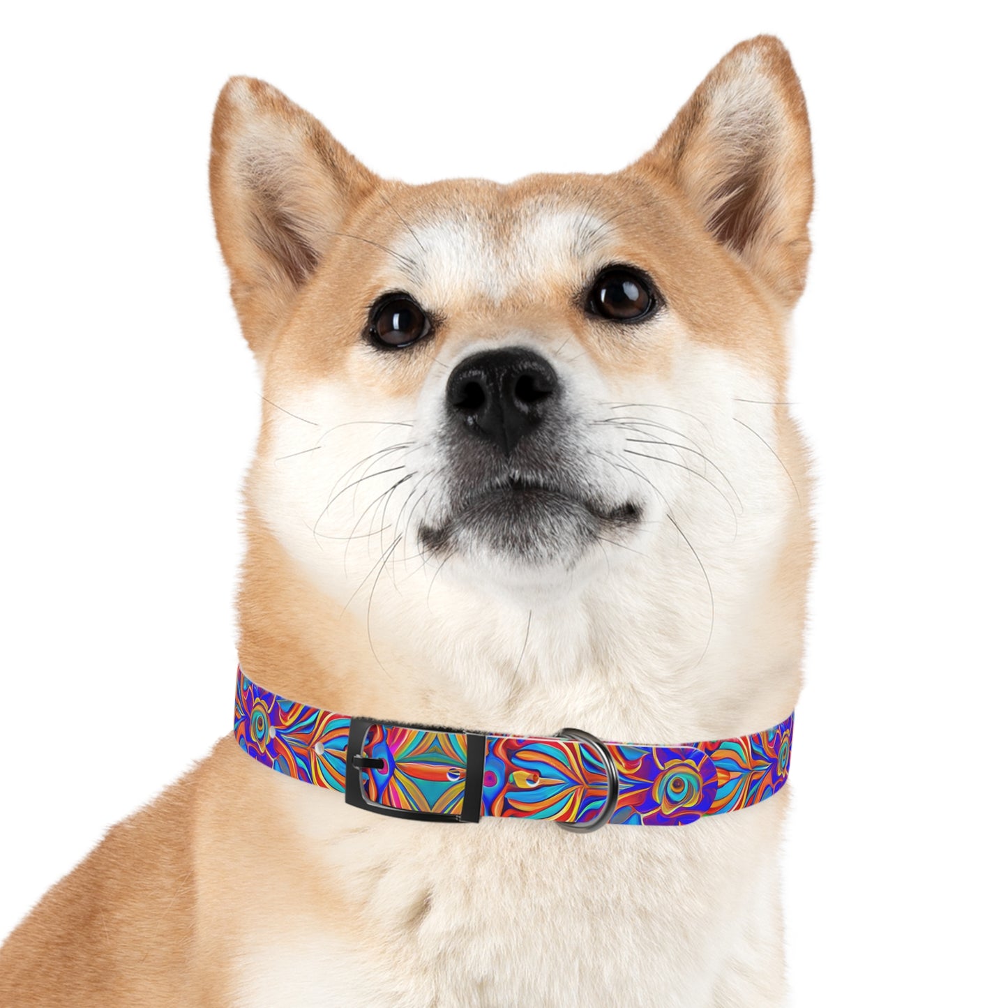 Psychedelic Spectrum Dog Collar