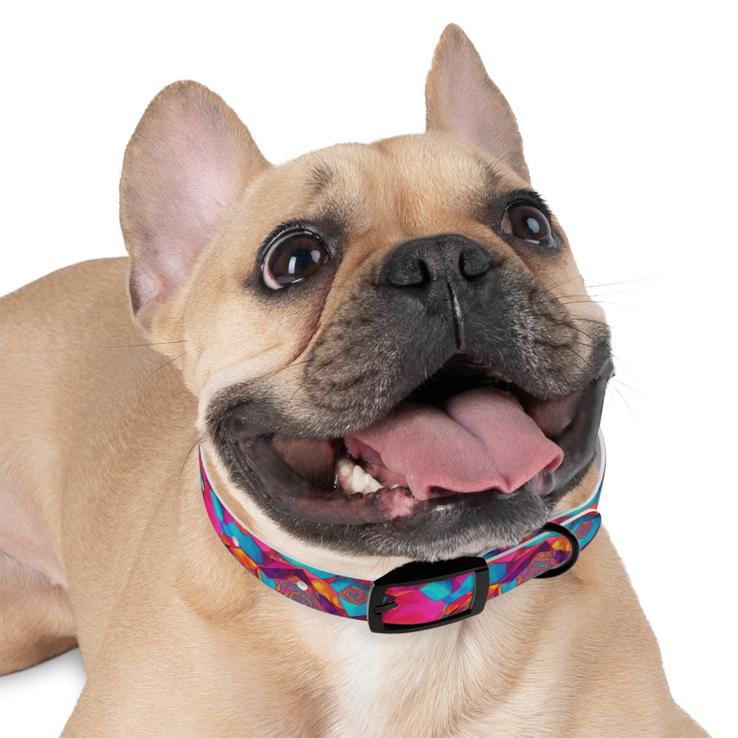 Hypnotic Harmony Dog Collar