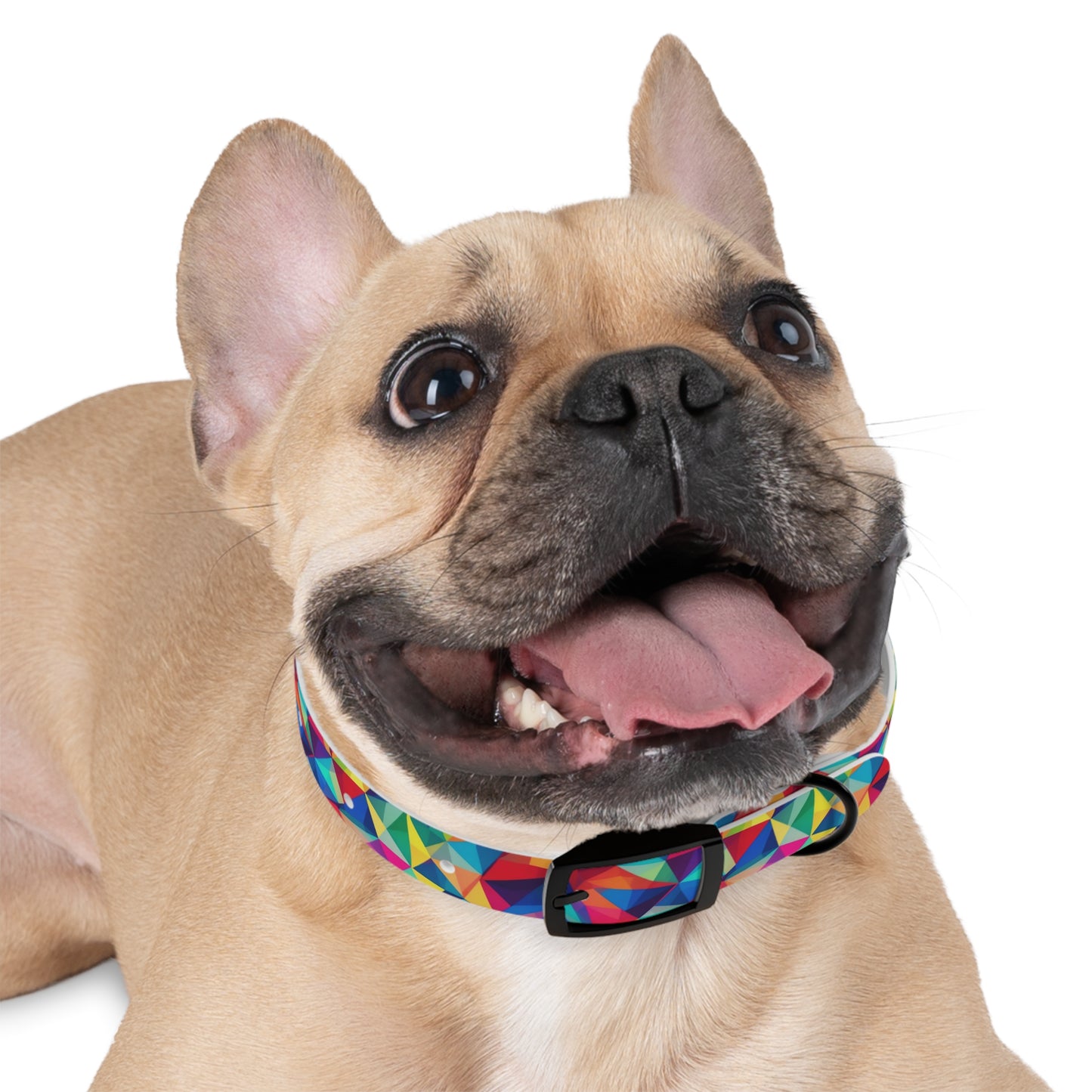 Neon Angles Dog Collar