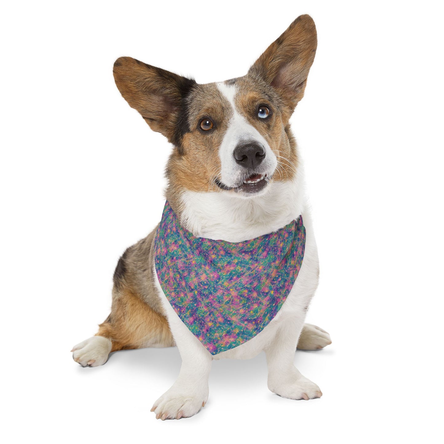 Meteor Shower Pet Bandana Collar