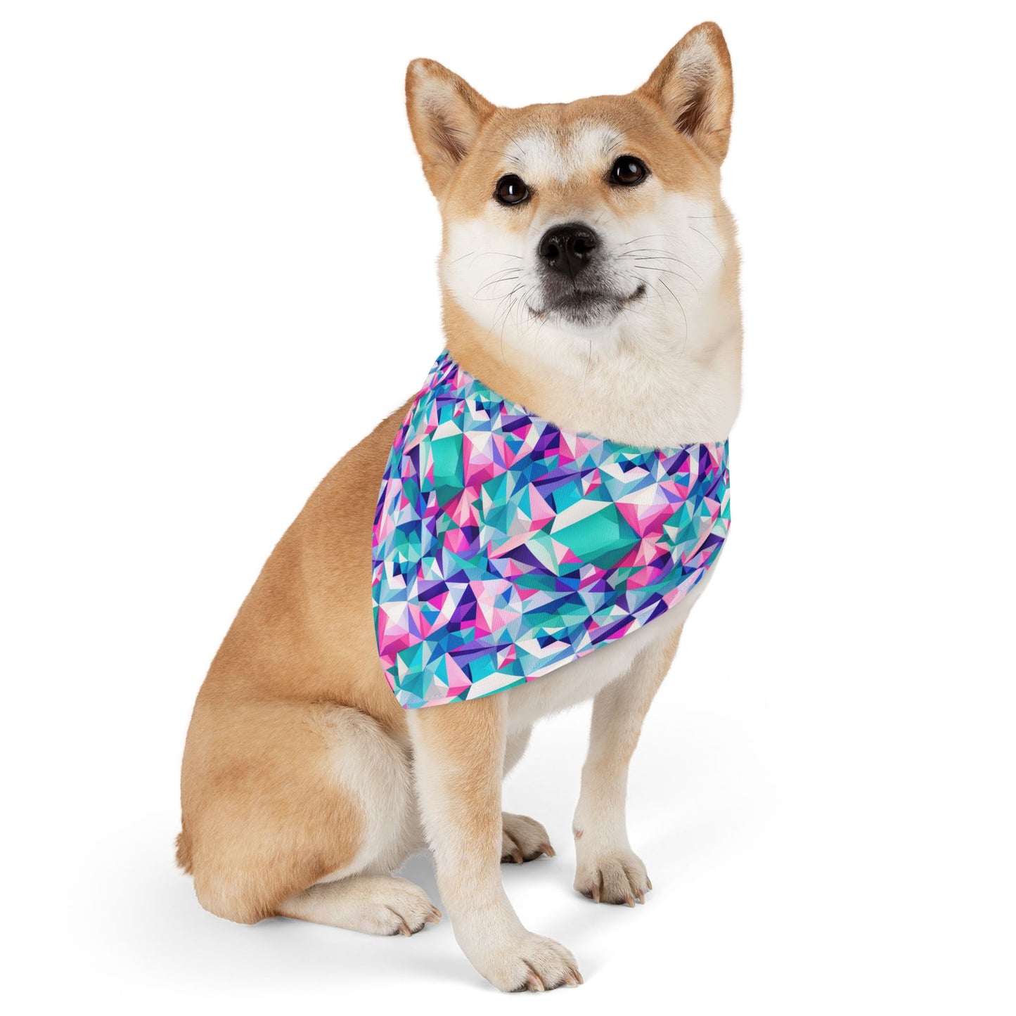 Fractal Flair Pet Bandana Collar