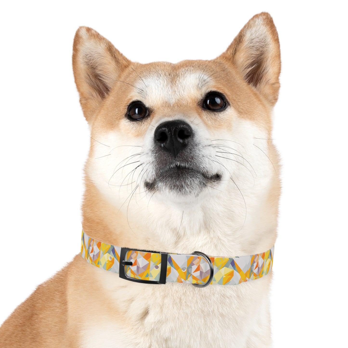 Polygon Prism Dog Collar