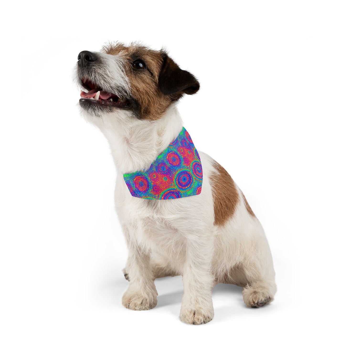 Poly Glow Pet Bandana Collar