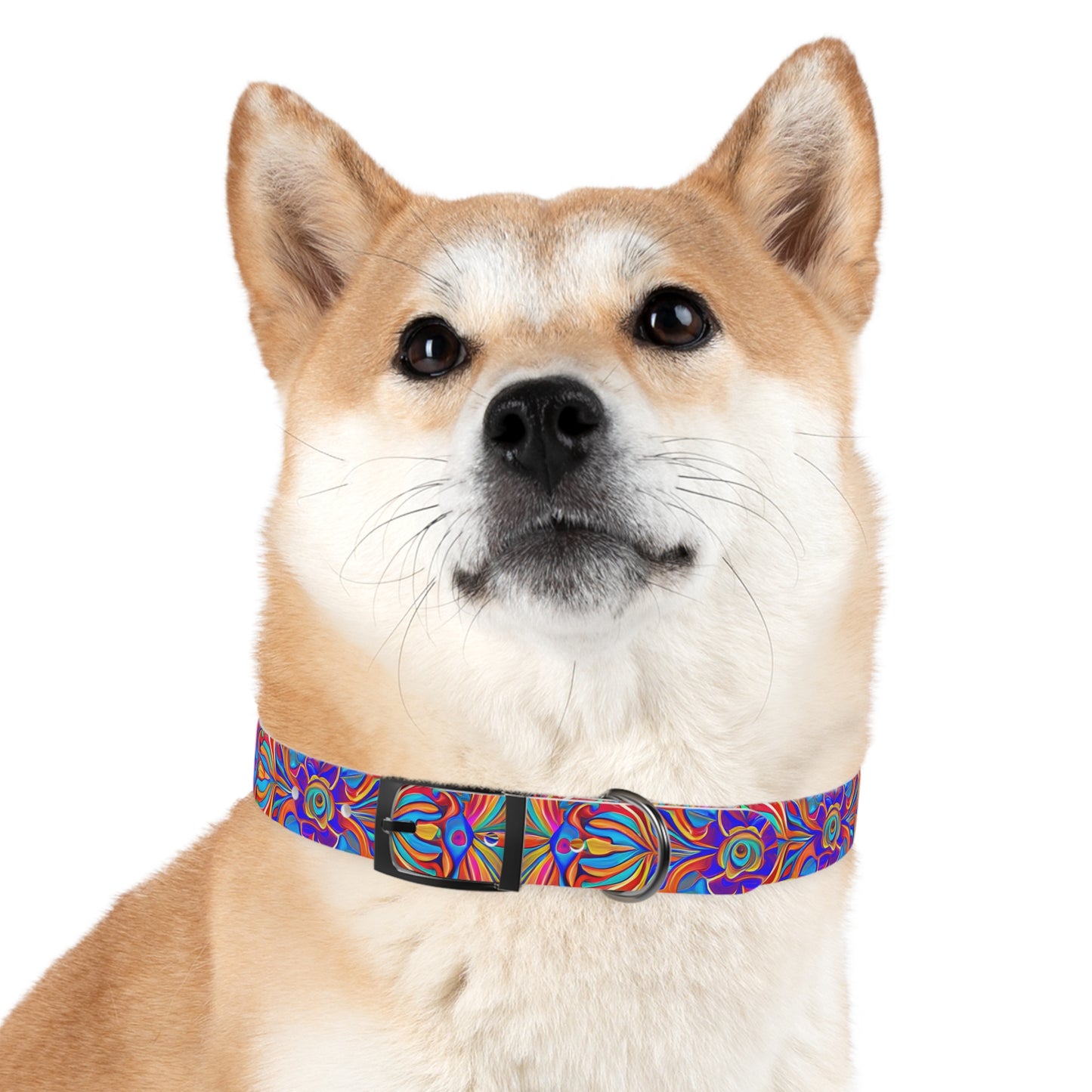 Psychedelic Spectrum Dog Collar