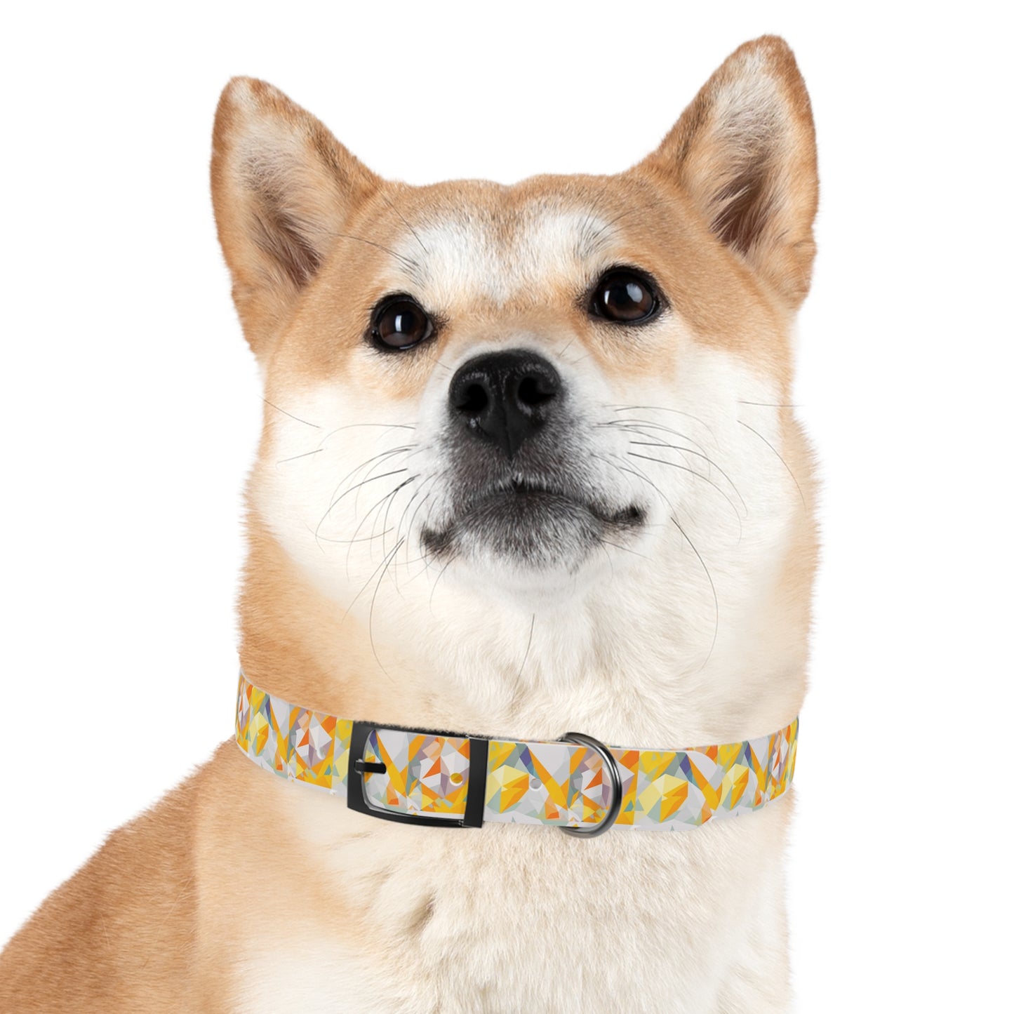 Polygon Prism Dog Collar