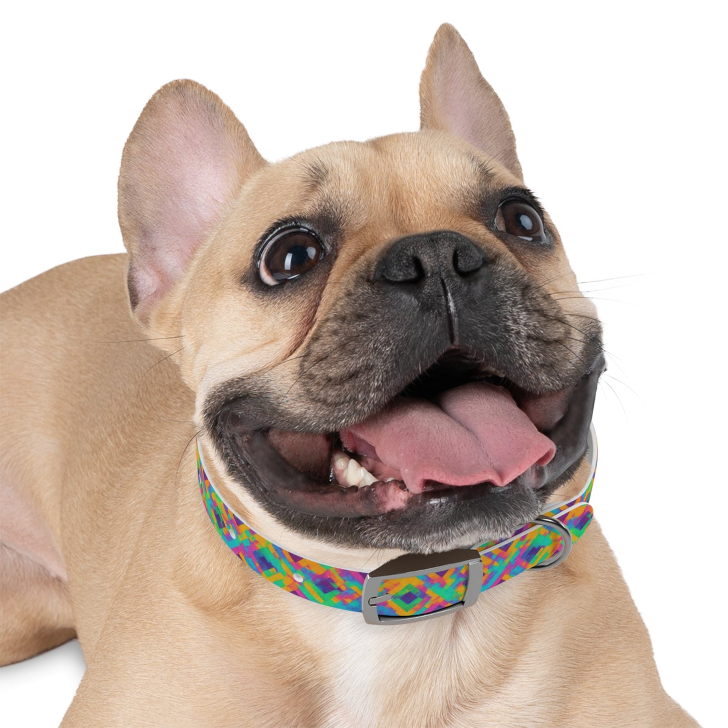 Radiant Reflections Dog Collar