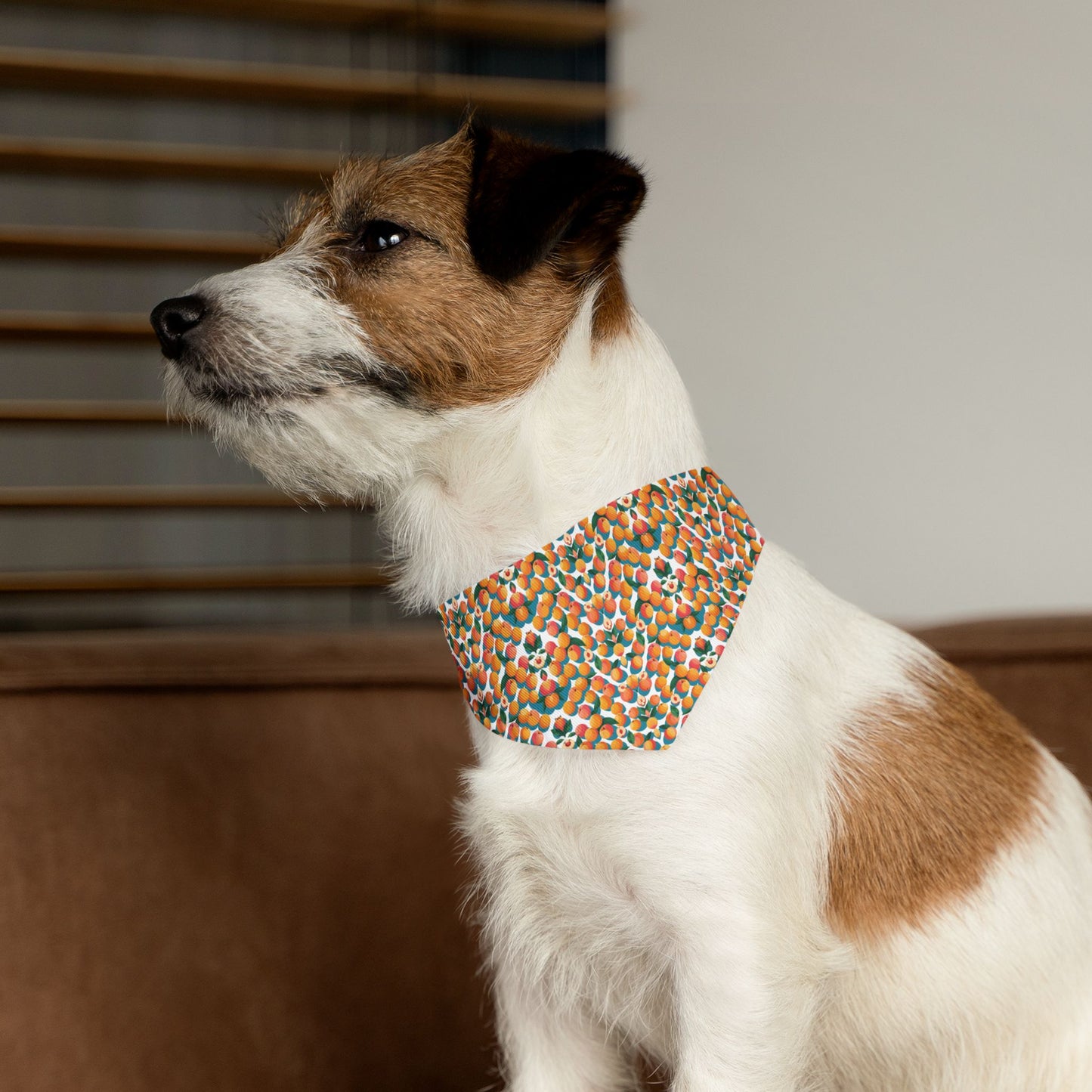 Peachy Keen Pet Bandana Collar