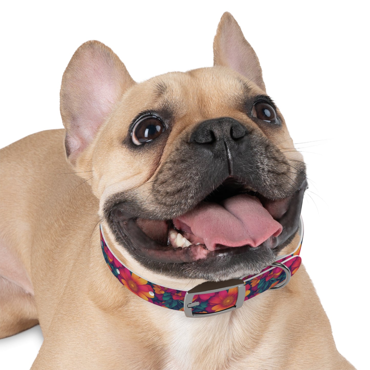 Daisy Delight Dog Collar