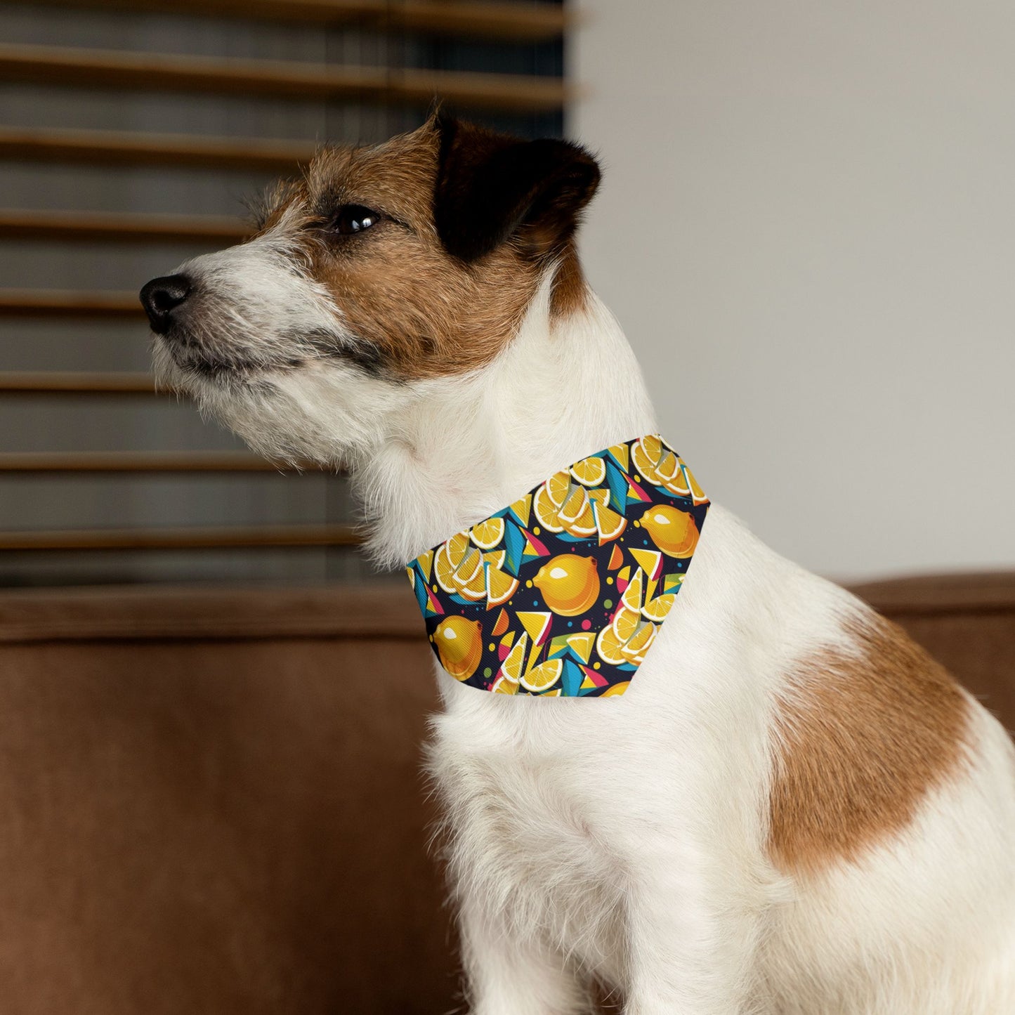 Lemon Zest Pet Bandana Collar