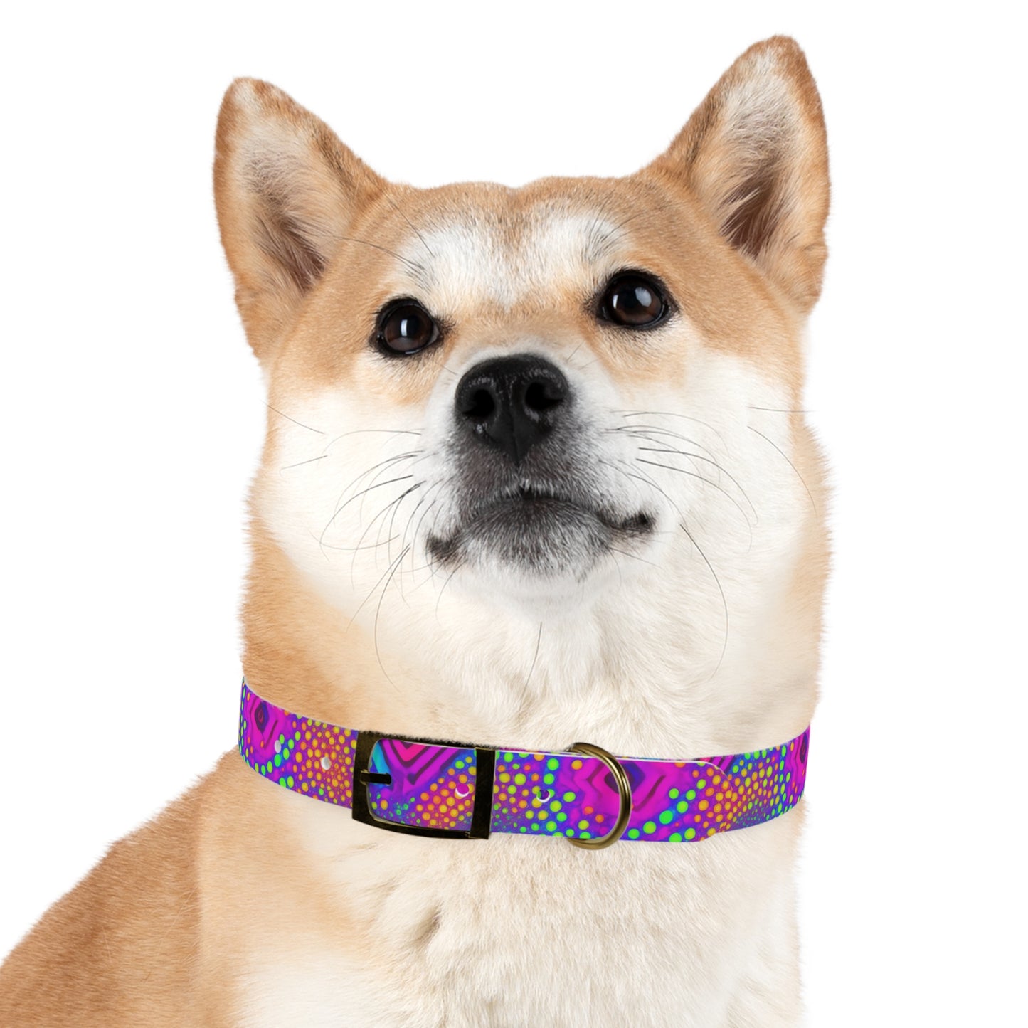 Chroma Chic Dog Collar