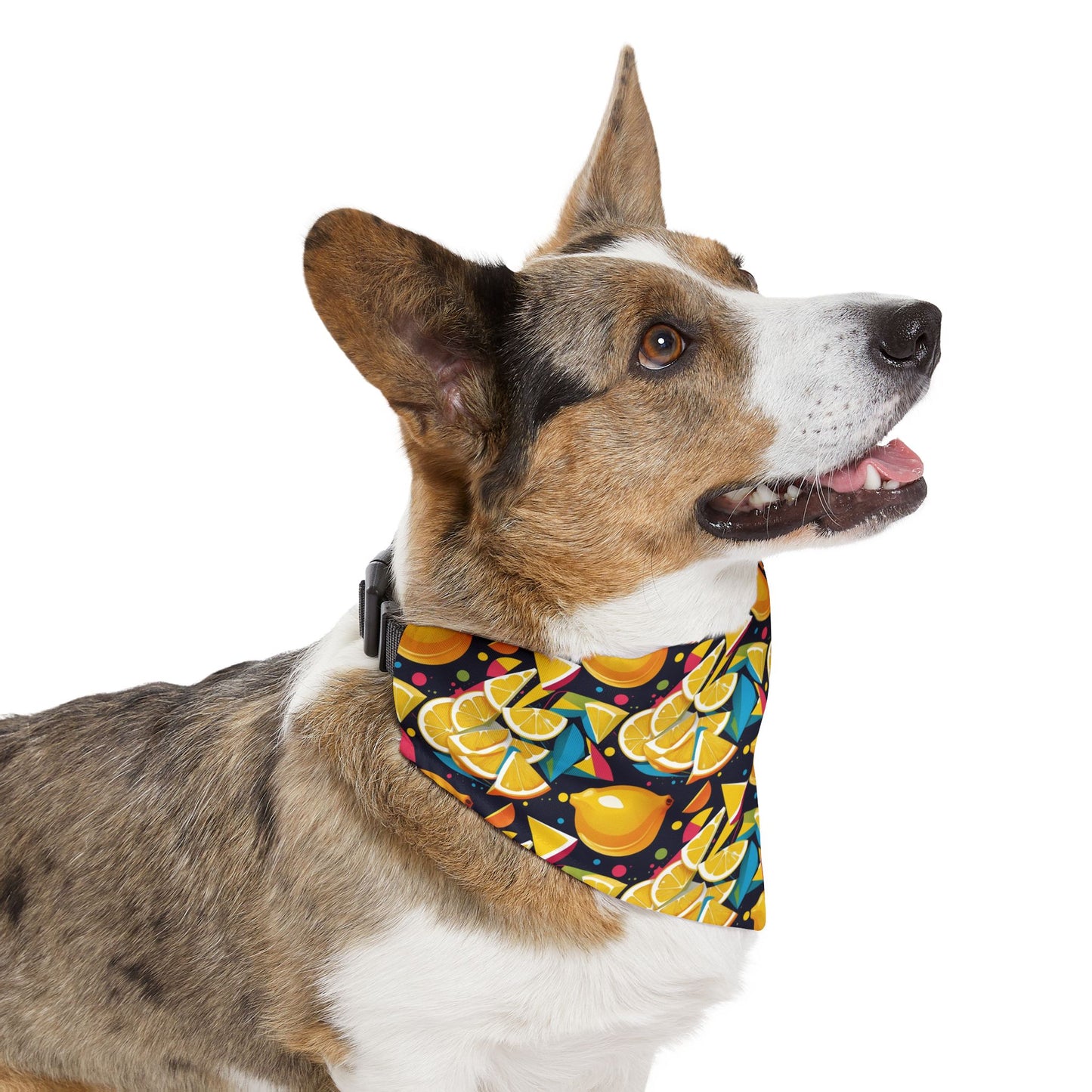 Lemon Zest Pet Bandana Collar