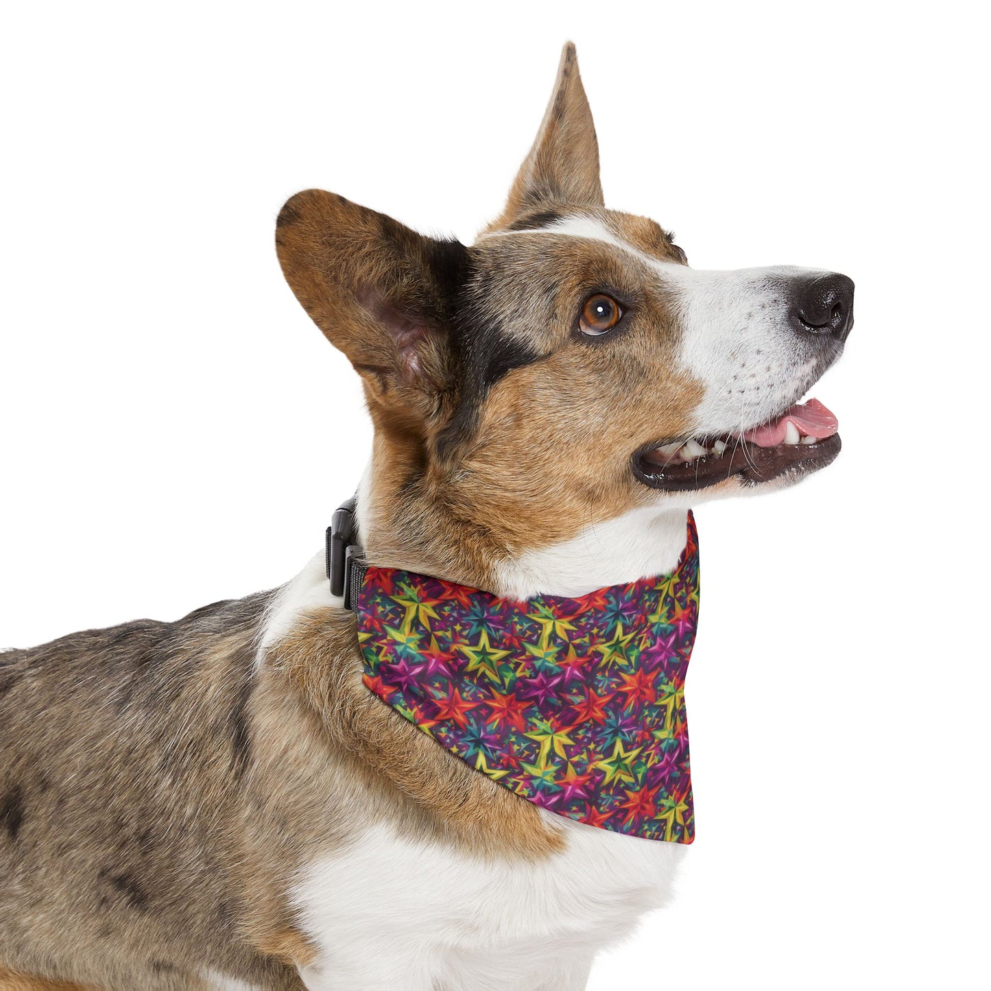 Astral Gleam Pet Bandana Collar