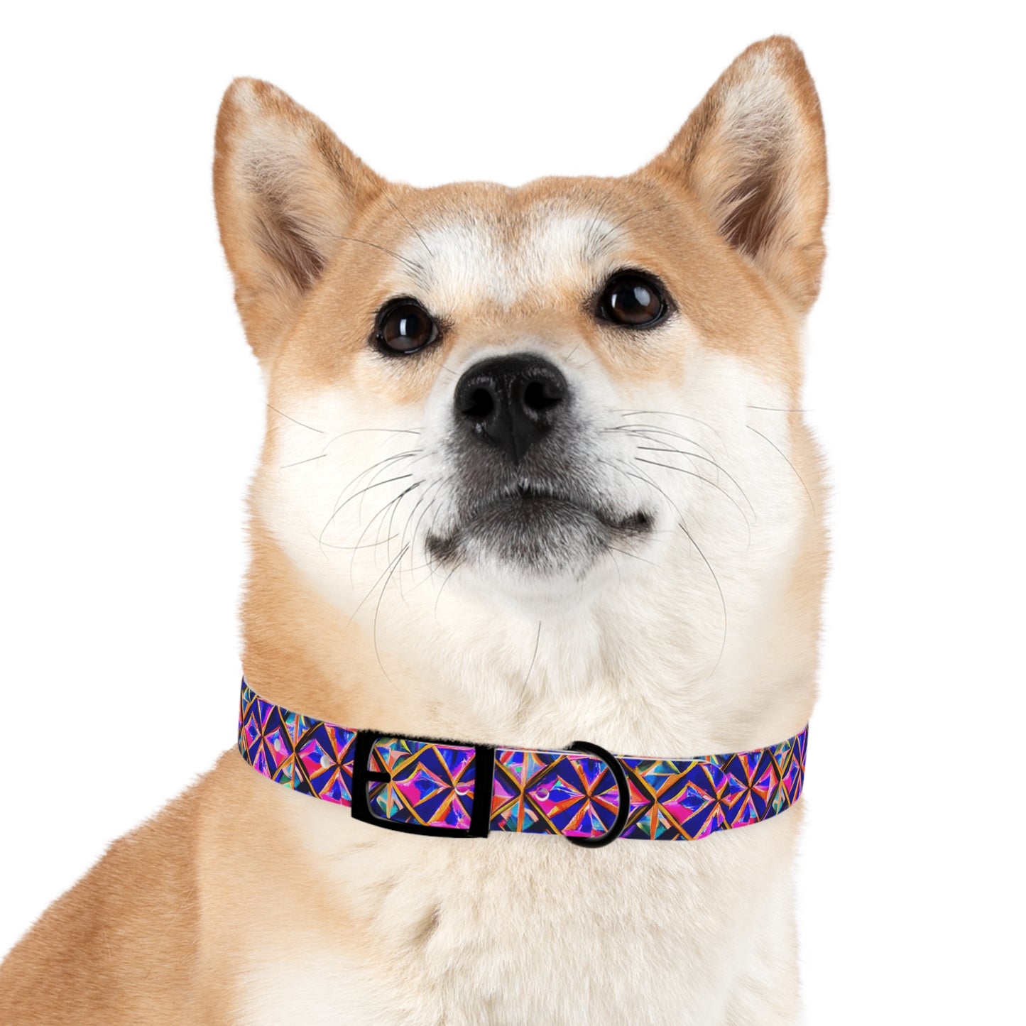 Tri-Fusion Dog Collar