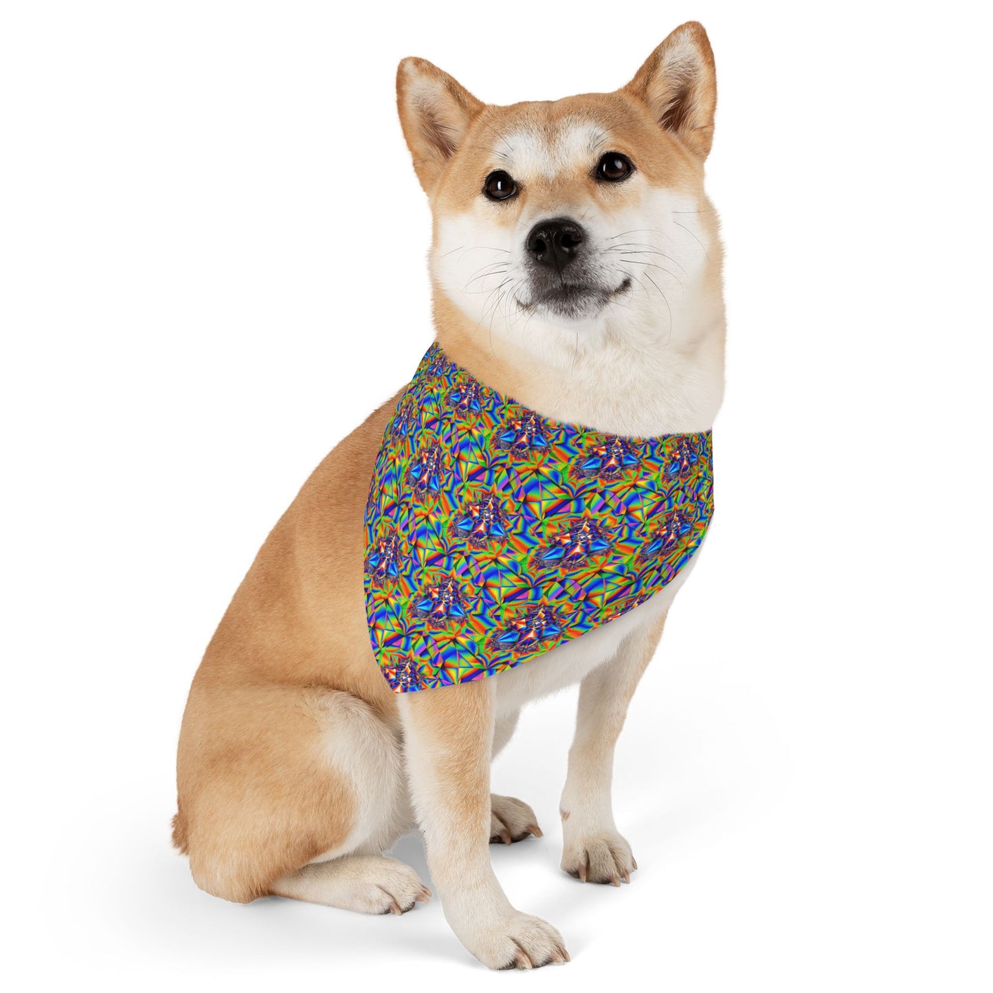 Galactic Glimmer Pet Bandana Collar