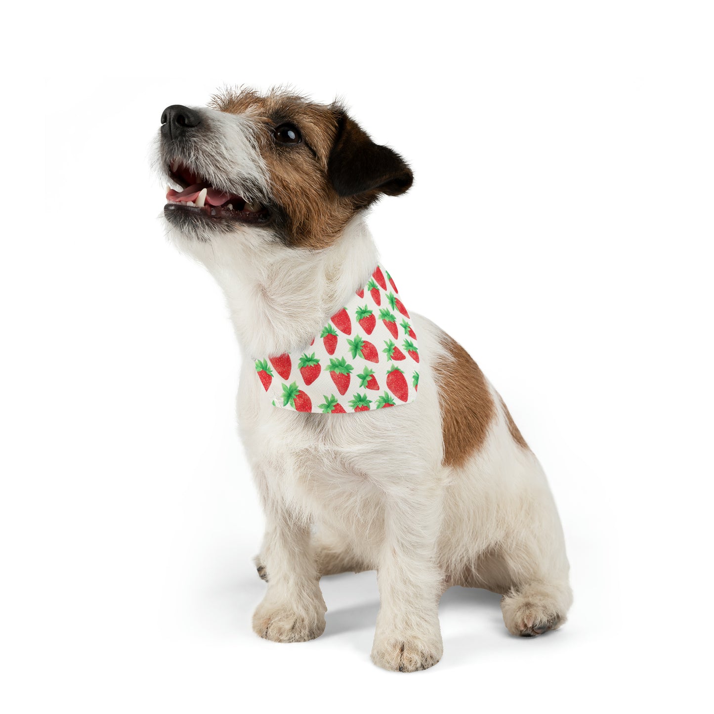 Strawberry Watercolor Pattern Pet Bandana Collar