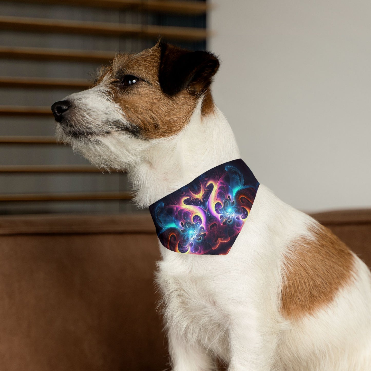 Neon Spiral Pet Bandana Collar