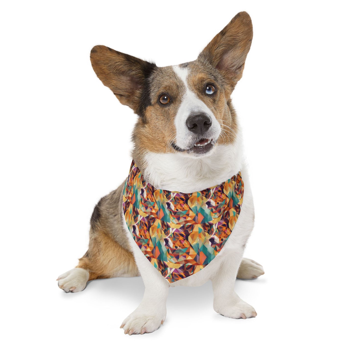 Doggy Dimensions Pet Bandana Collar