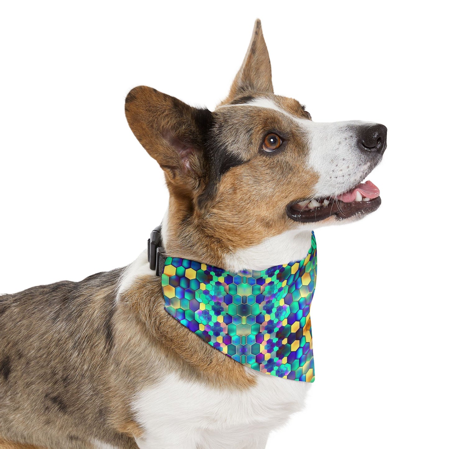 Vibrant Comb Pet Bandana Collar