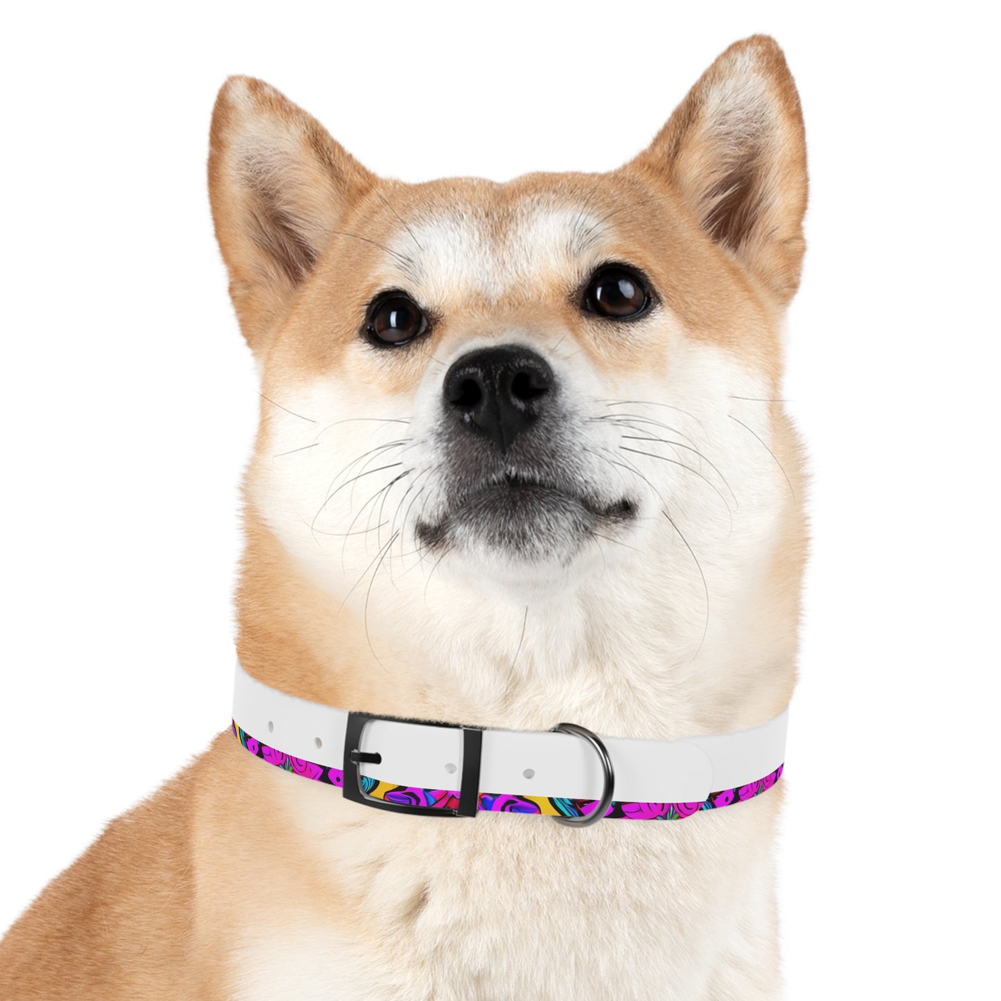 Vibrant Illusions Dog Collar