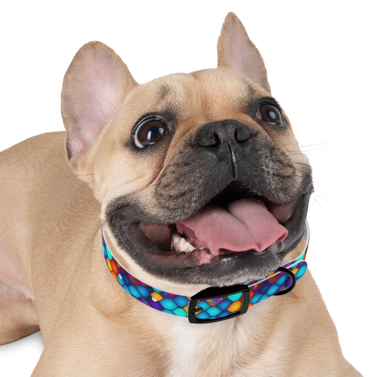 Hexa Spectrum Dog Collar