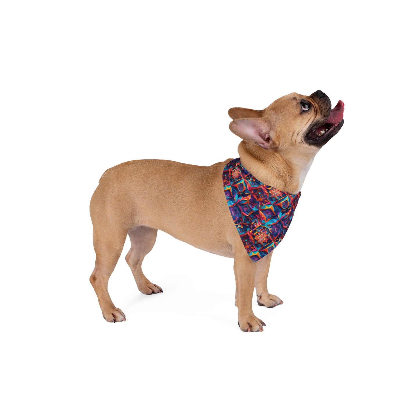 Kaleido Magic Pet Bandana