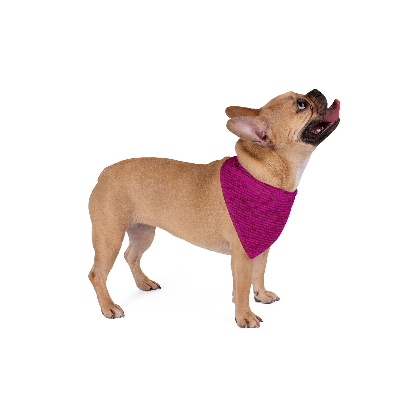 Cyber Chic Pet Bandana