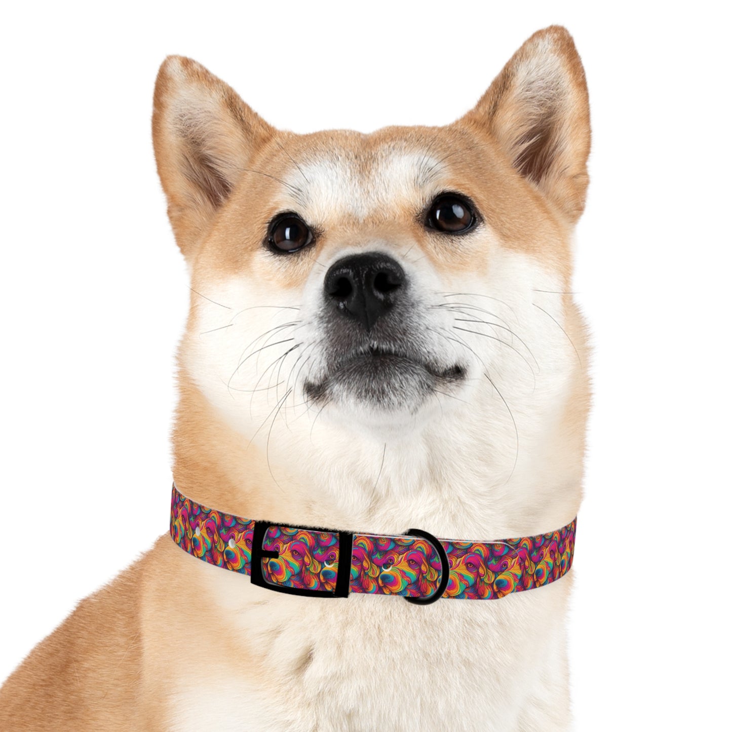 Abstract Woof Dog Collar