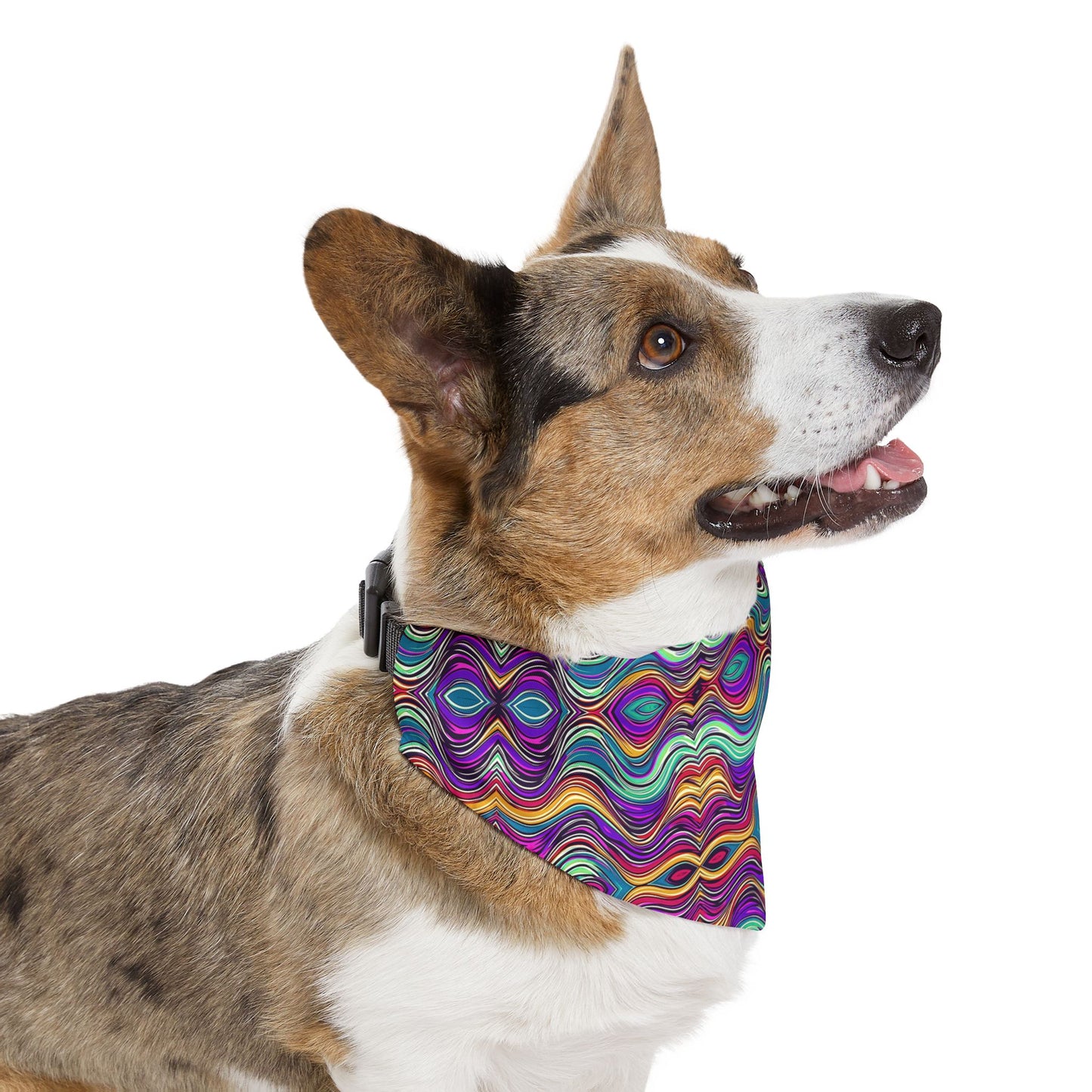 Cosmic Ripple Pet Bandana Collar