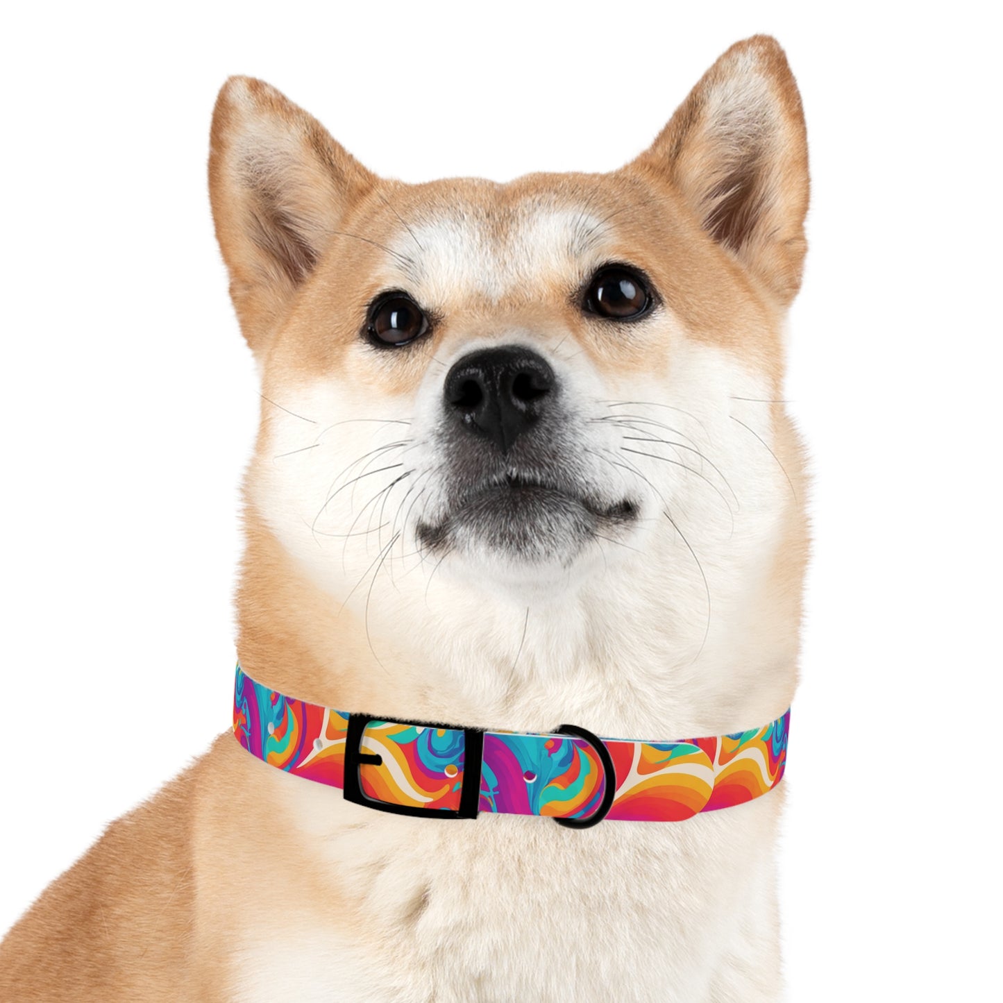 Rainbow Ripple Dog Collar