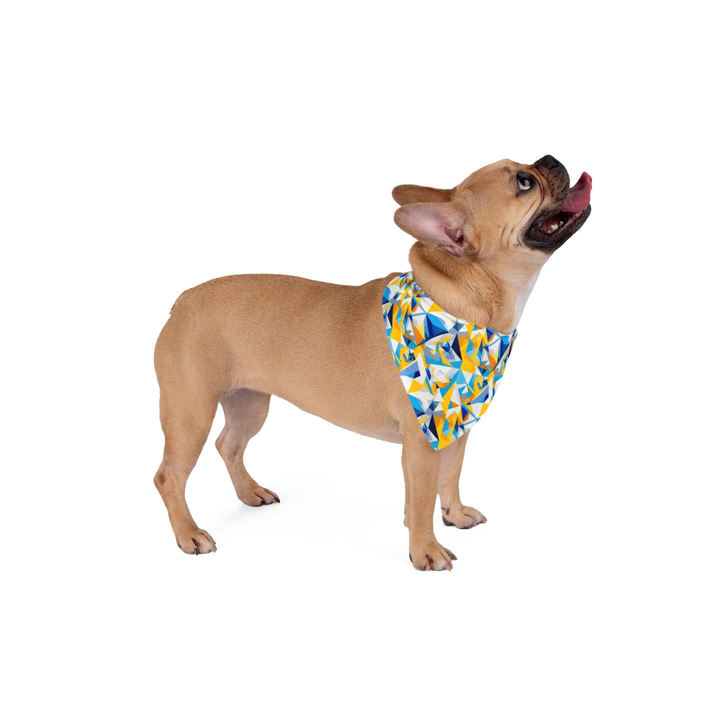 Vector Vibes Pet Bandana