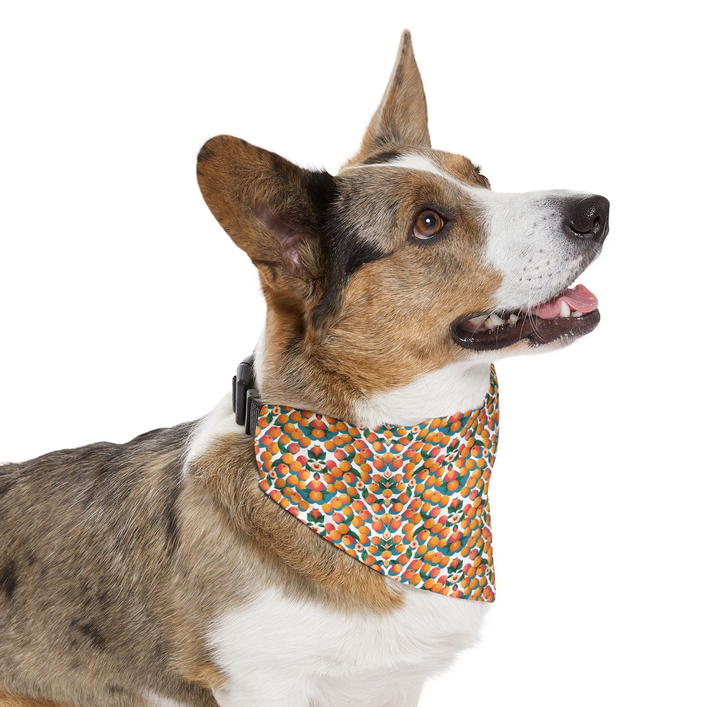 Peachy Keen Pet Bandana Collar