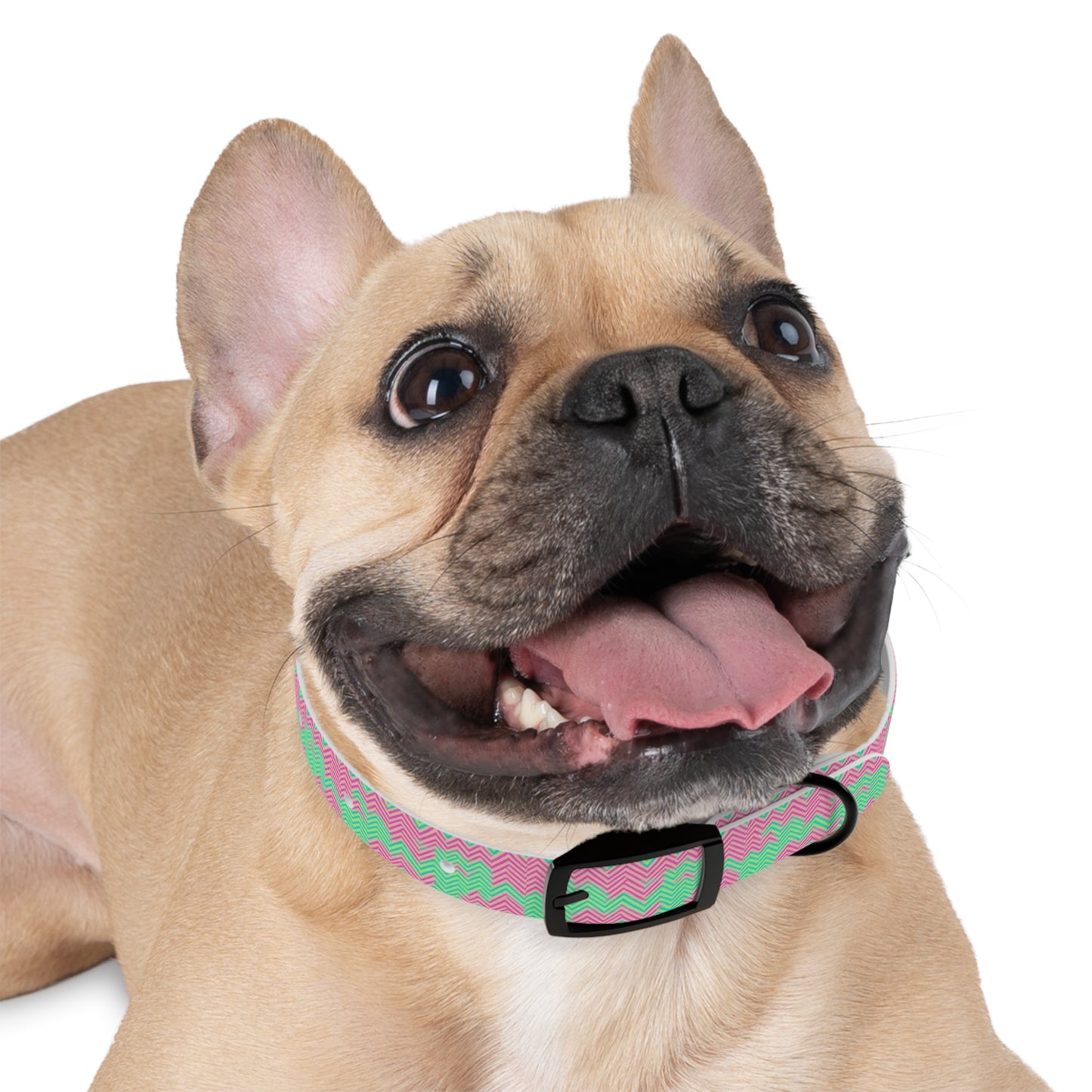 Groovy Geometrics Dog Collar