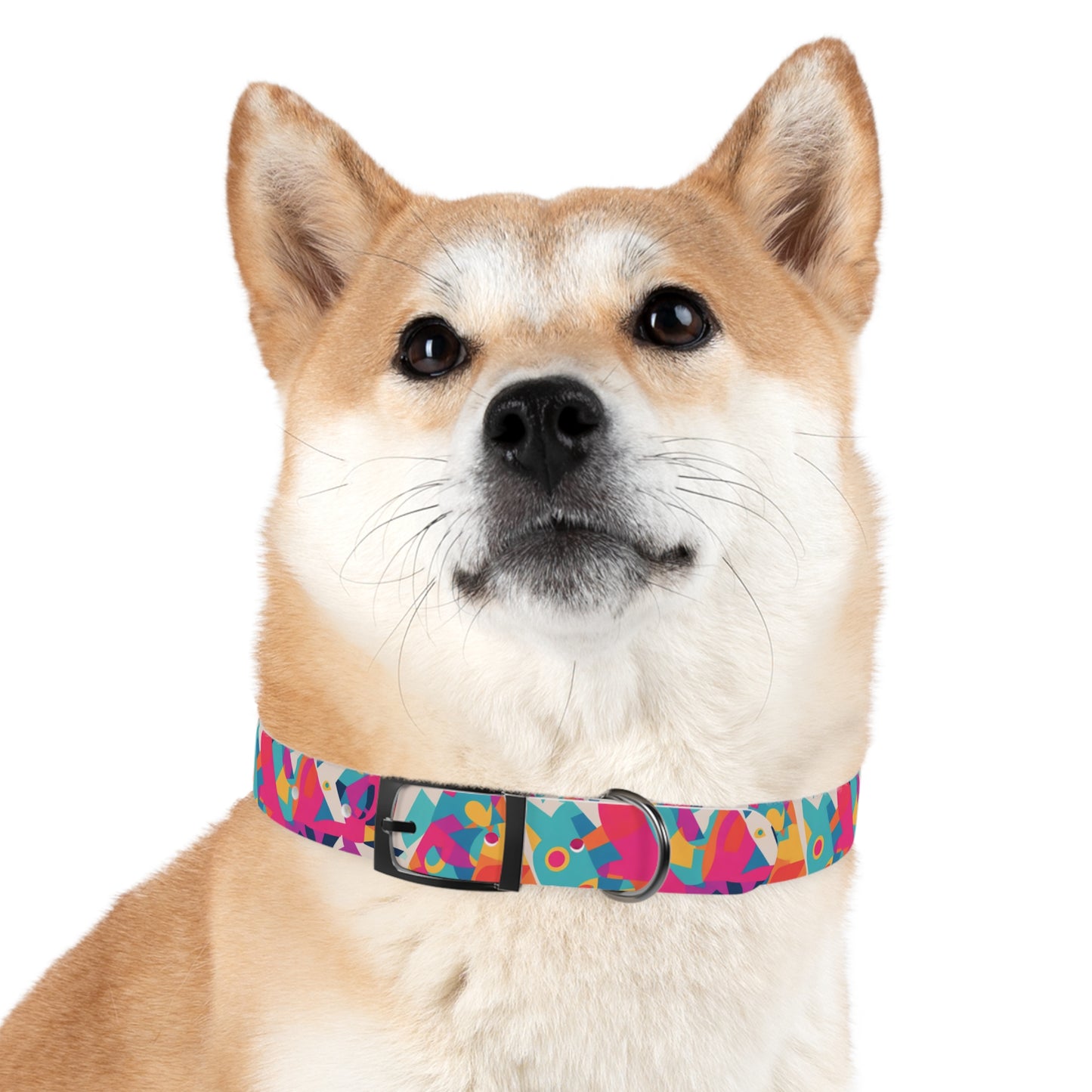 Edgy Elegance Dog Collar