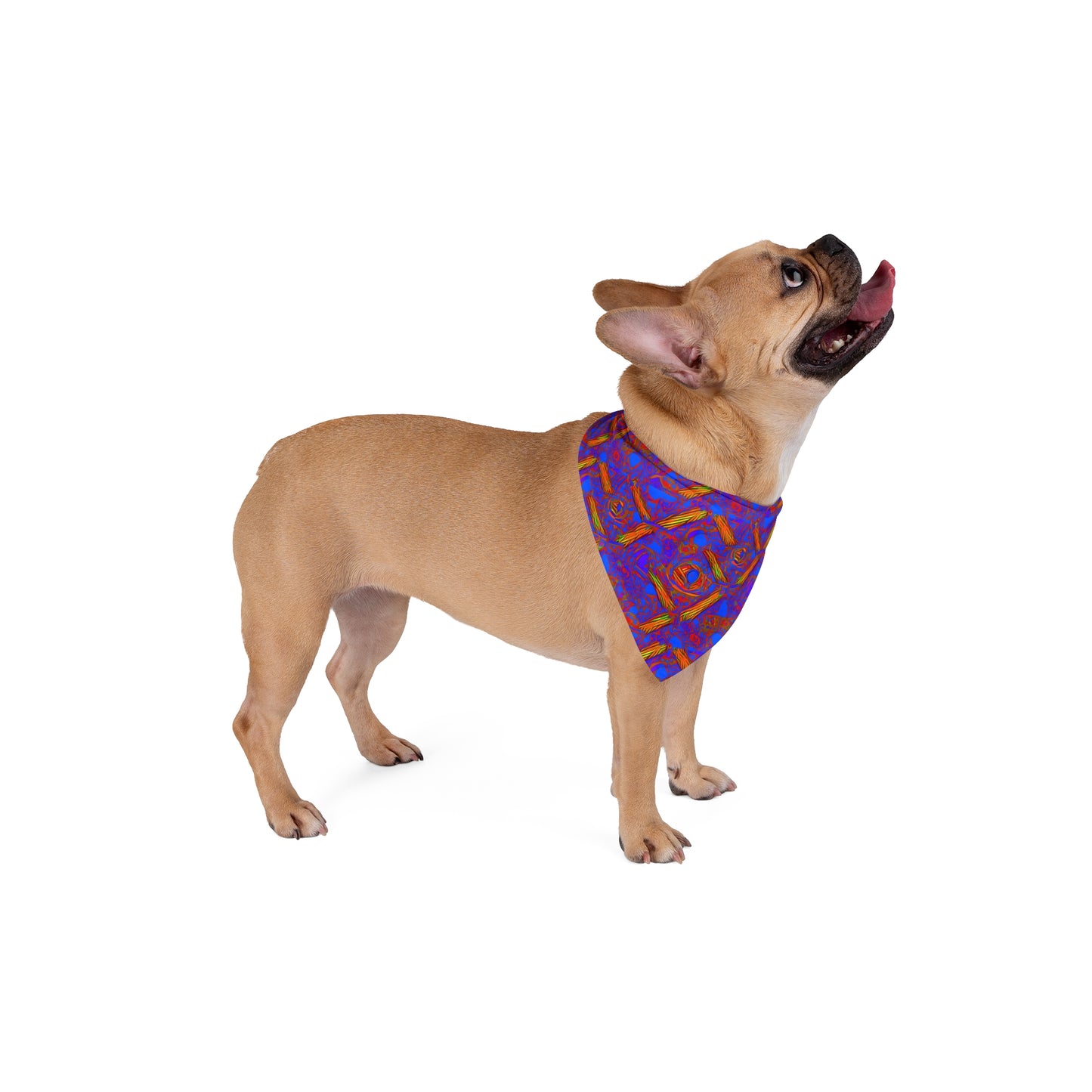 Brilliant Blend Pet Bandana