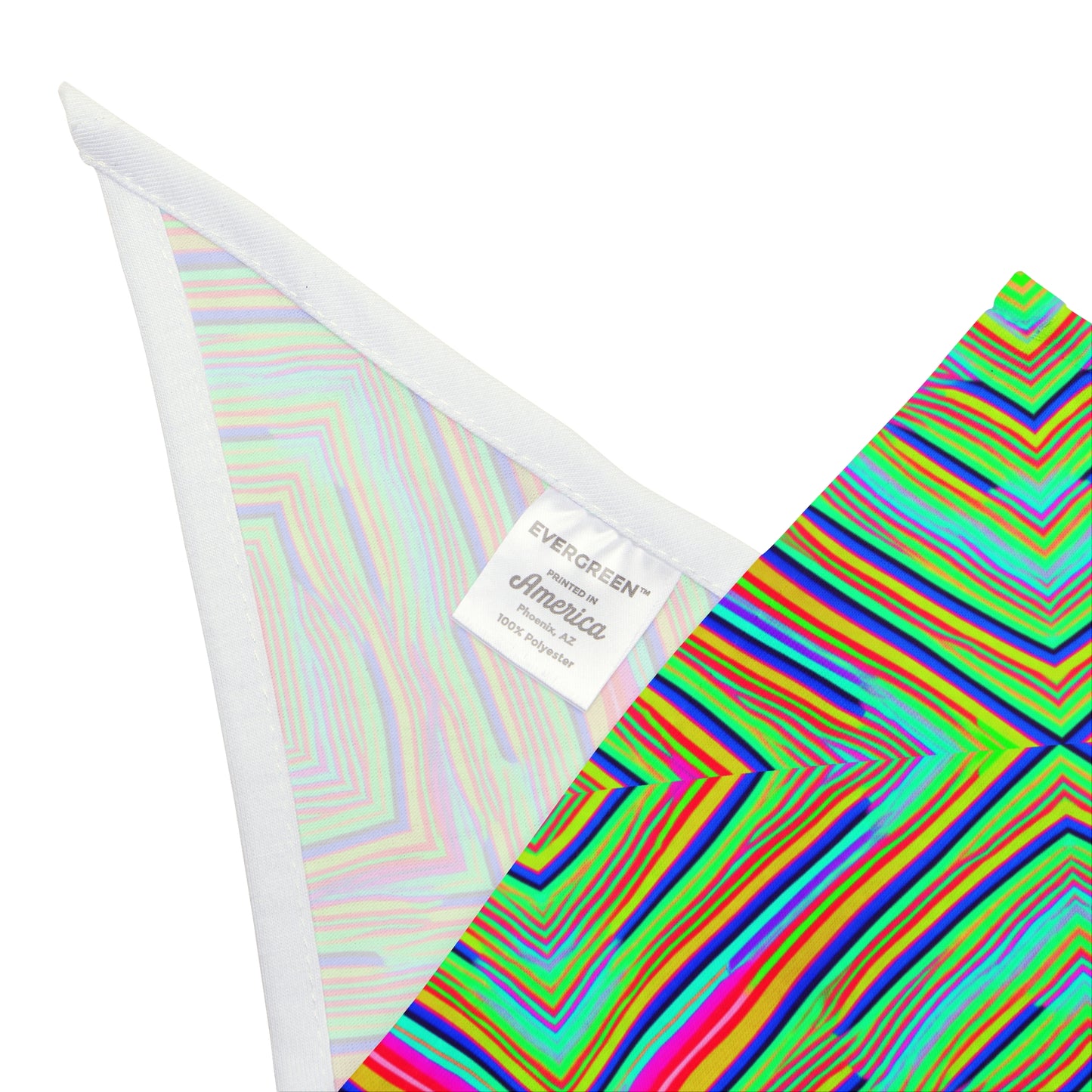 Neon Edges Pet Bandana