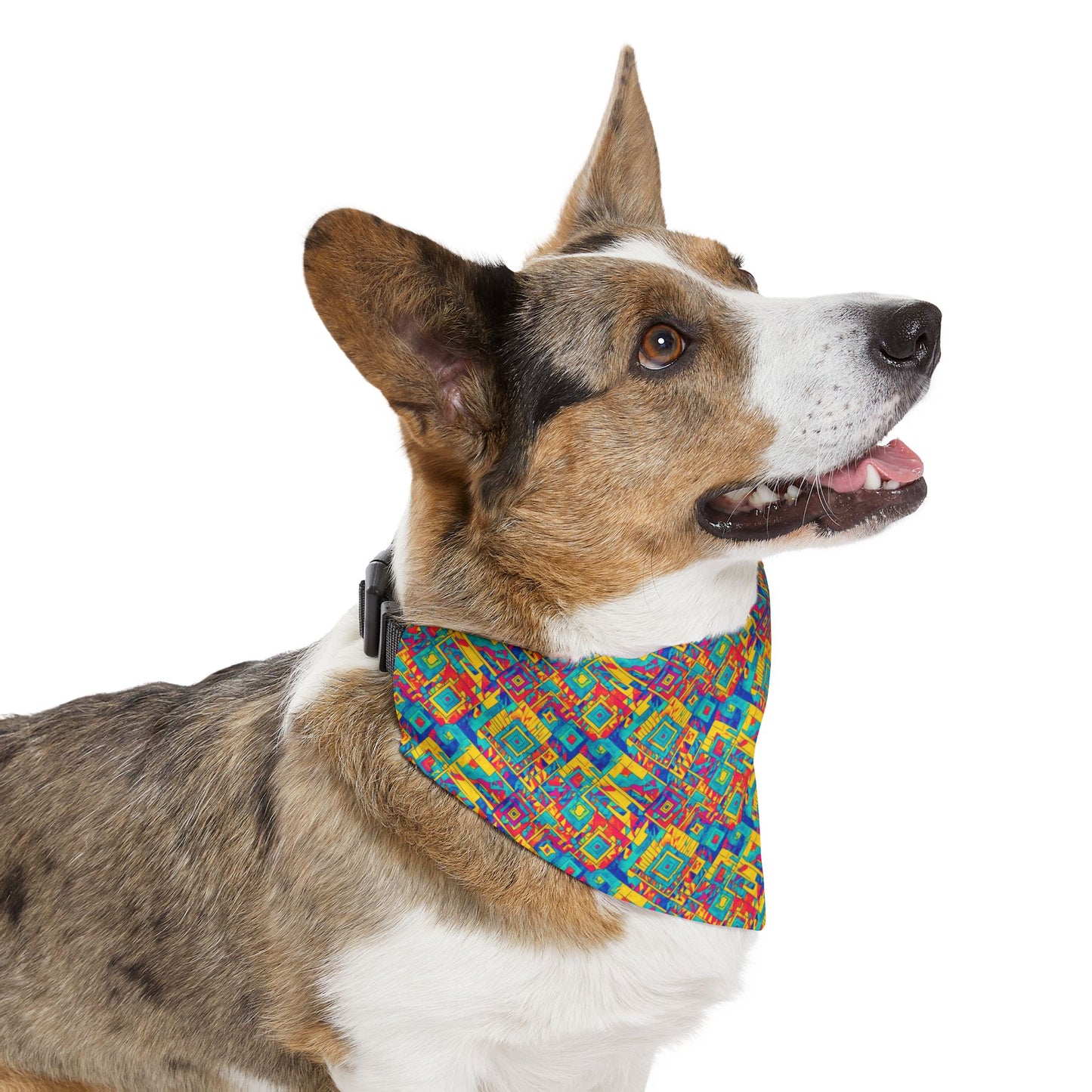 Diamond Dance Pet Bandana Collar