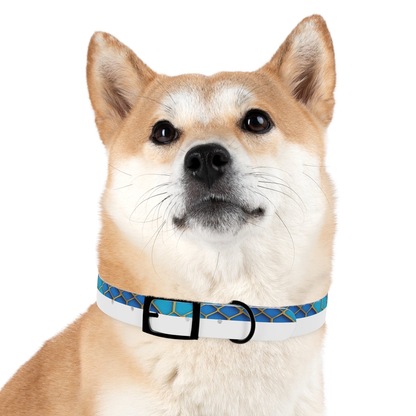 Hexagonal Harmony Dog Collar