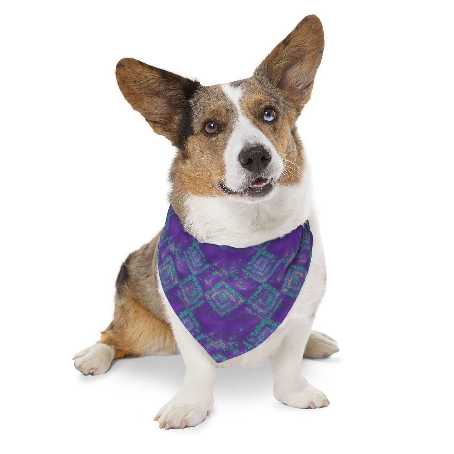 Radiance Rhapsody Pet Bandana Collar