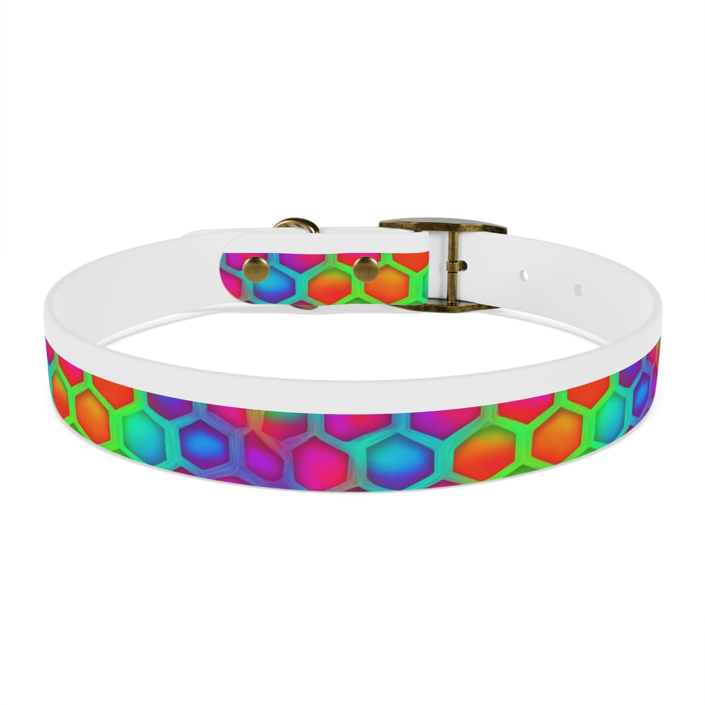 Color Hive Dog Collar