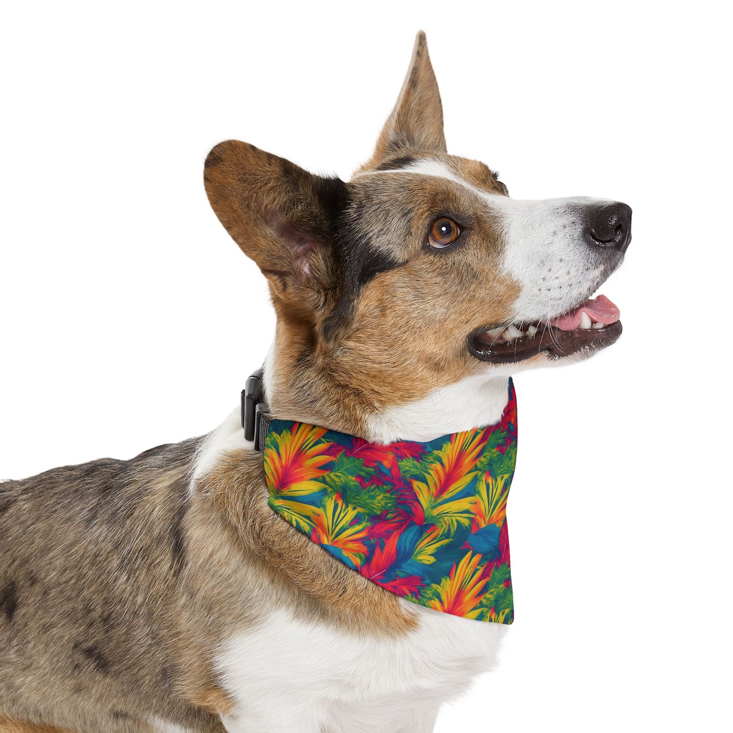 Meadow Melody Pet Bandana Collar