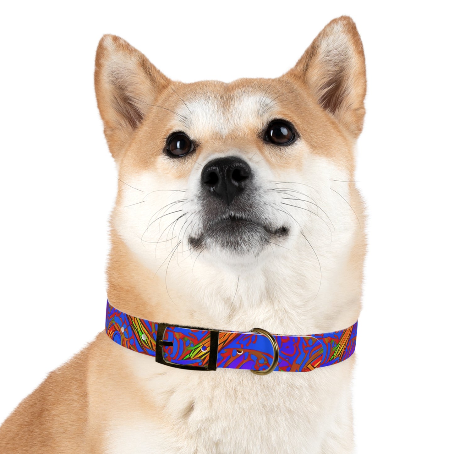 Brilliant Blend Dog Collar