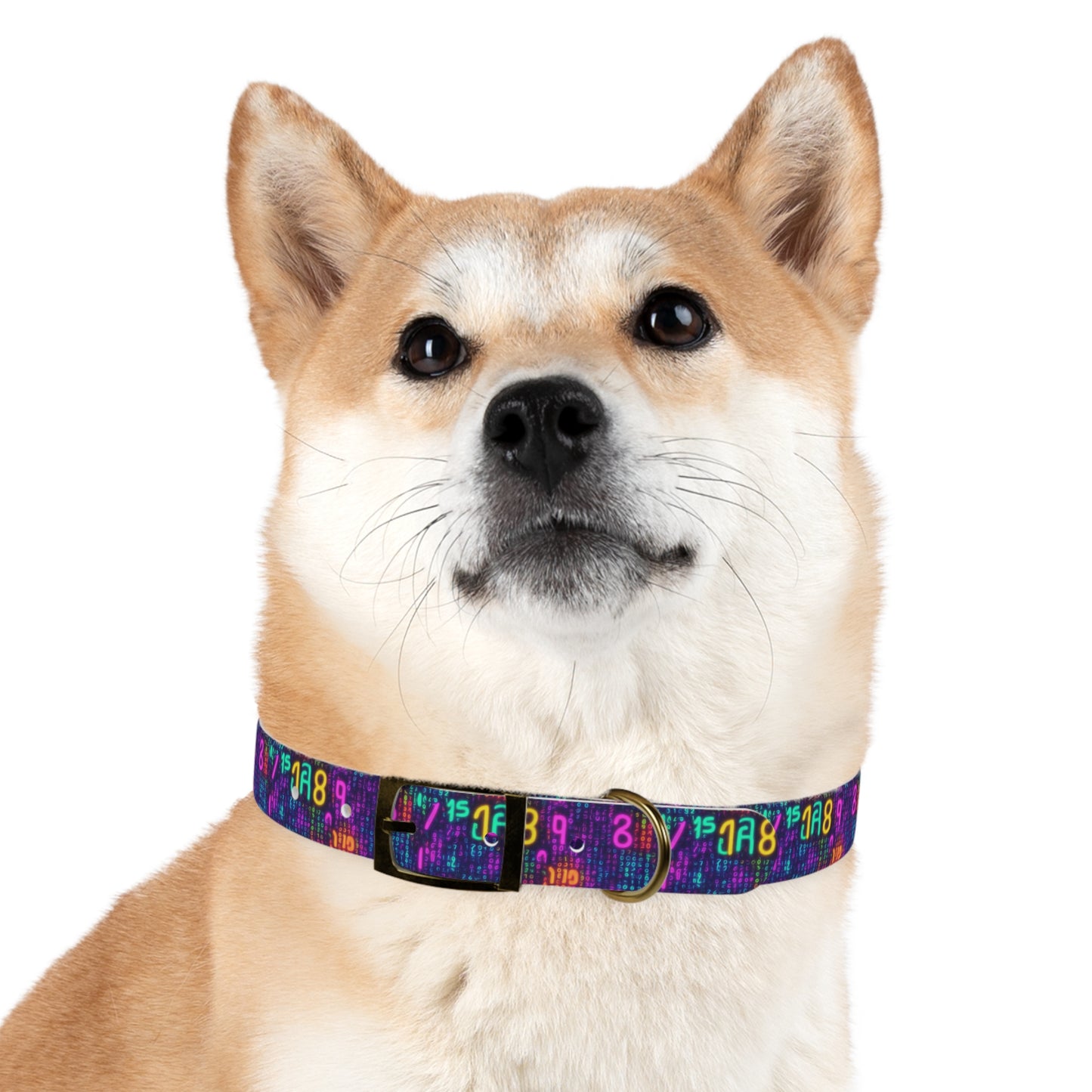 Trapped In The Matrix Dog Collar