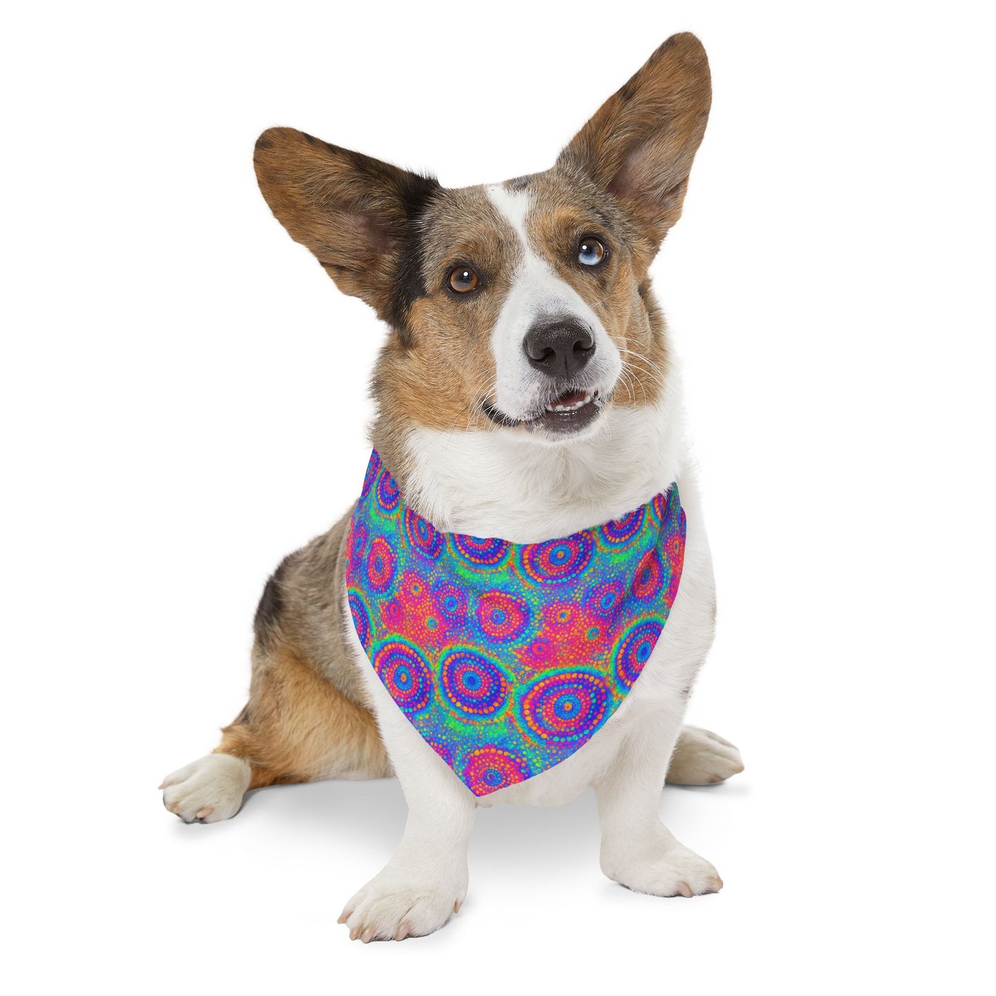 Poly Glow Pet Bandana Collar