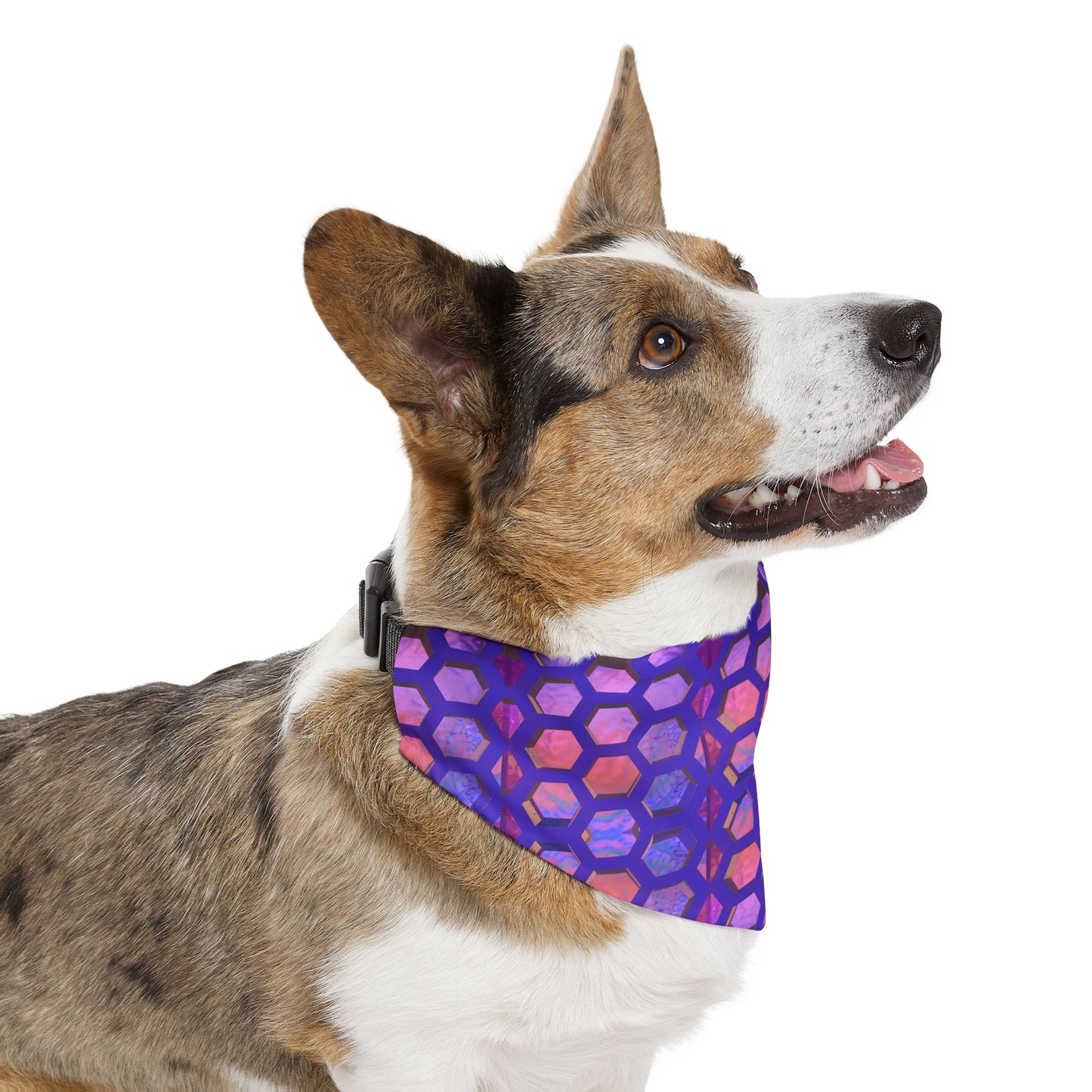 Hexa Bliss Pet Bandana Collar