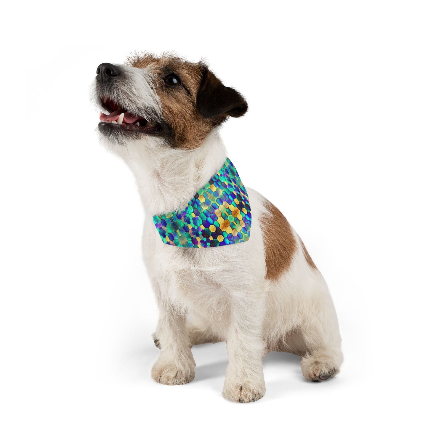 Vibrant Comb Pet Bandana Collar