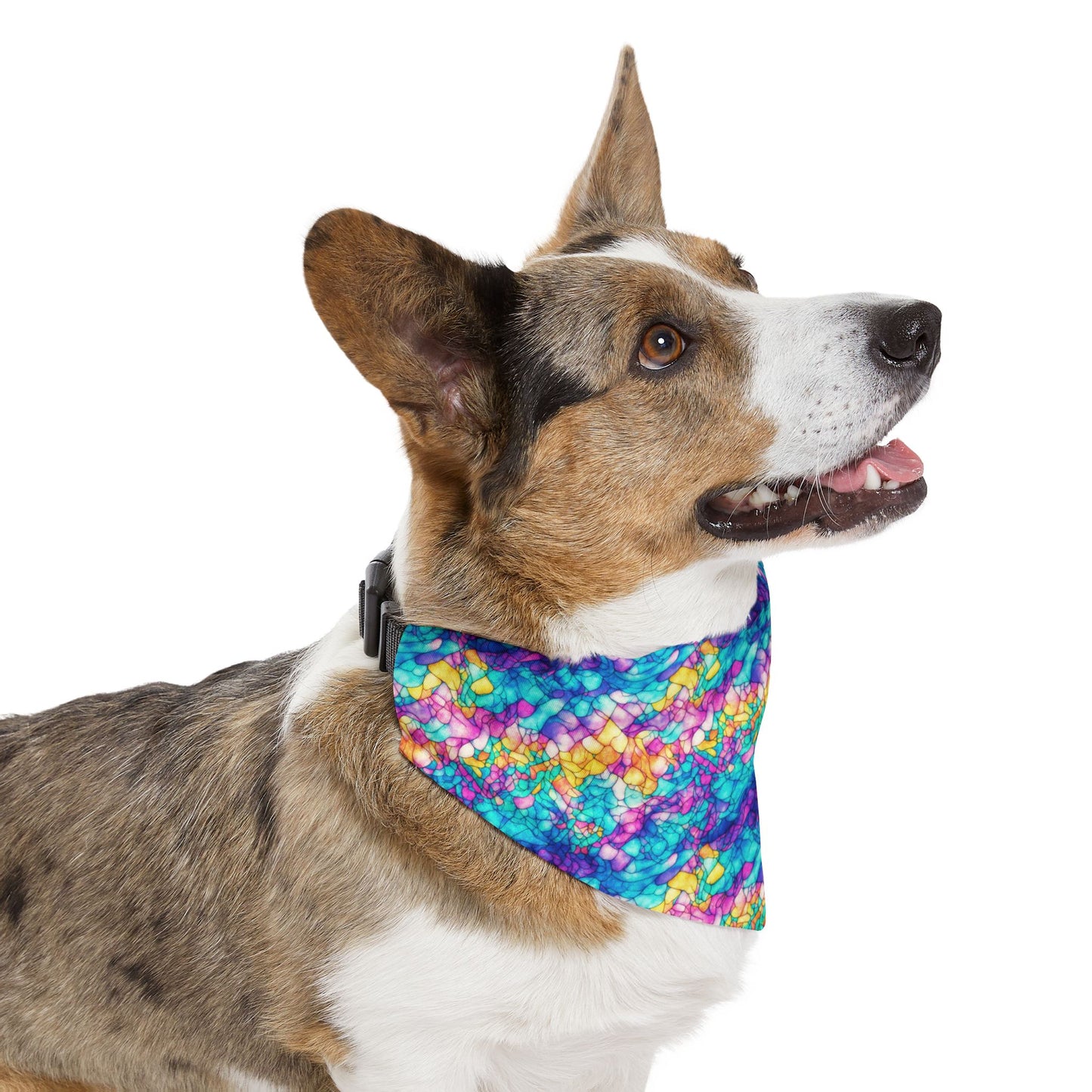 Trippy Tranquility Pet Bandana Collar