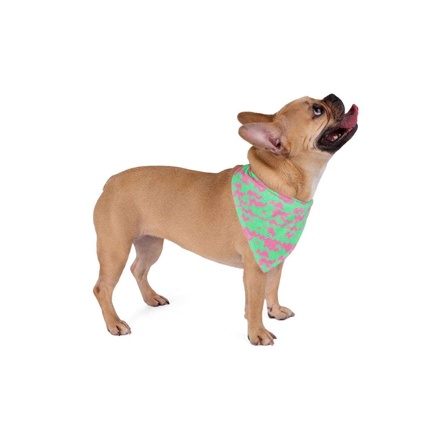 Herringbone Hues Pet Bandana